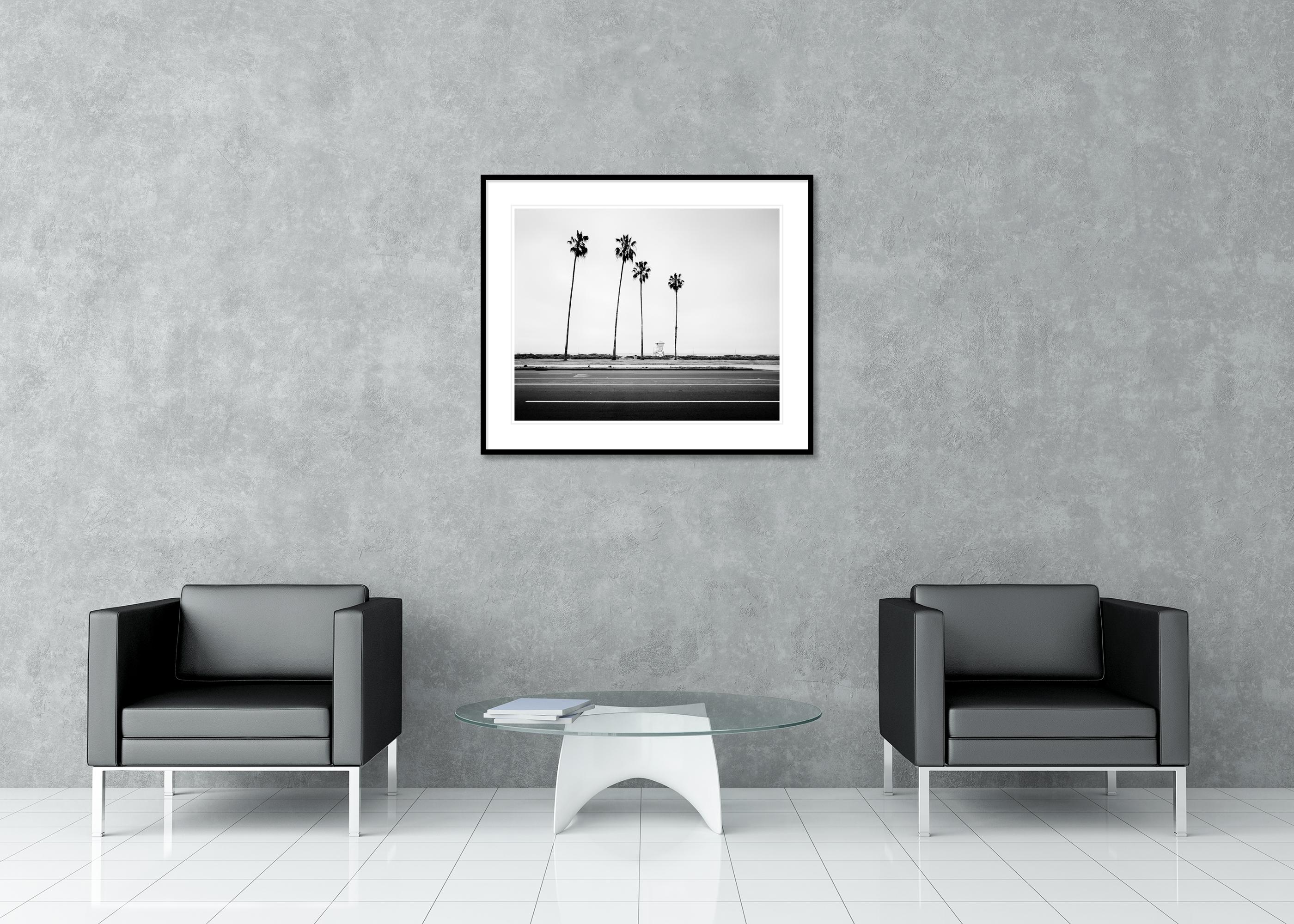 Palmen, Beach, Santa Barbara, USA, Schwarz-Weiß-Landschaftsfotografie im Angebot 2