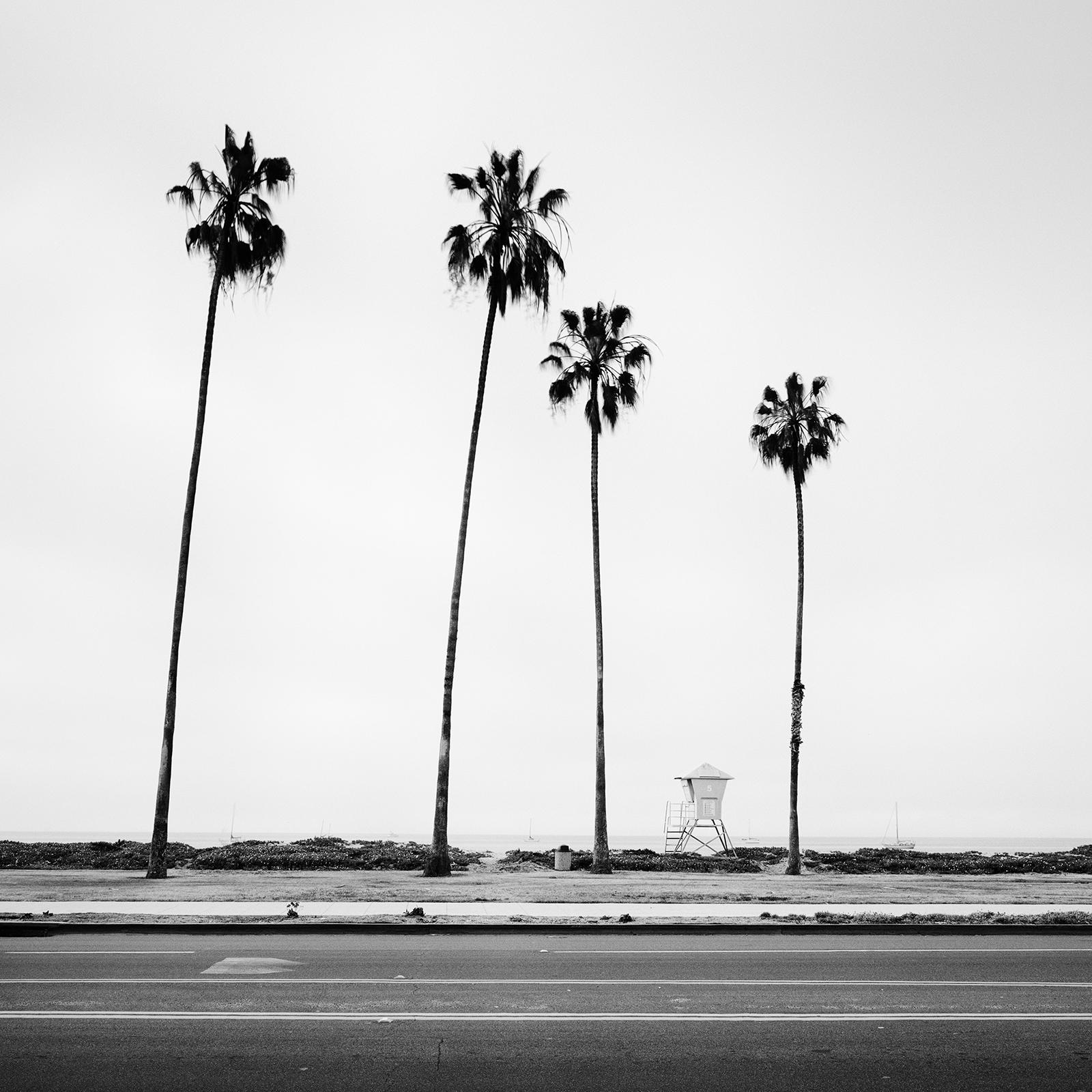 Palm Trees, Beach, Santa Barbara, USA, black and white landscape art photography For Sale 2