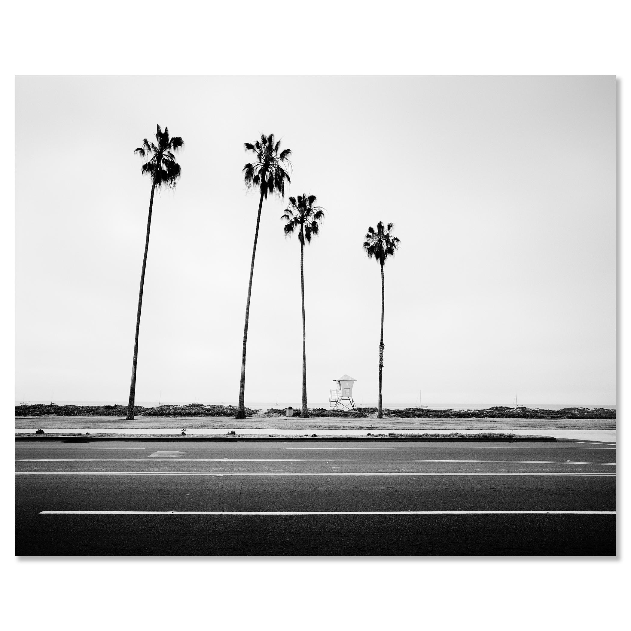 Palmen, Beach, Santa Barbara, USA, Schwarz-Weiß-Landschaftsfotografie im Angebot 3