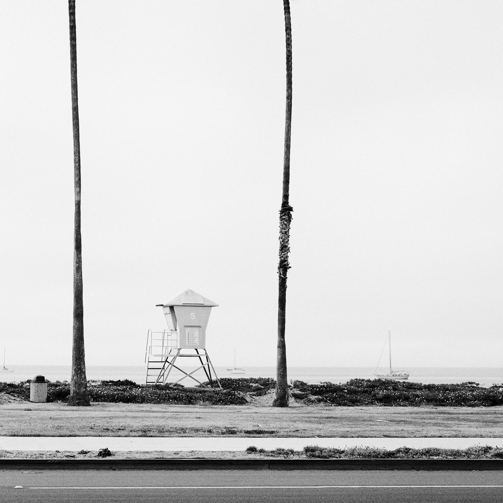 Palm Trees, Beach, Santa Barbara, USA, black and white landscape art photography For Sale 3