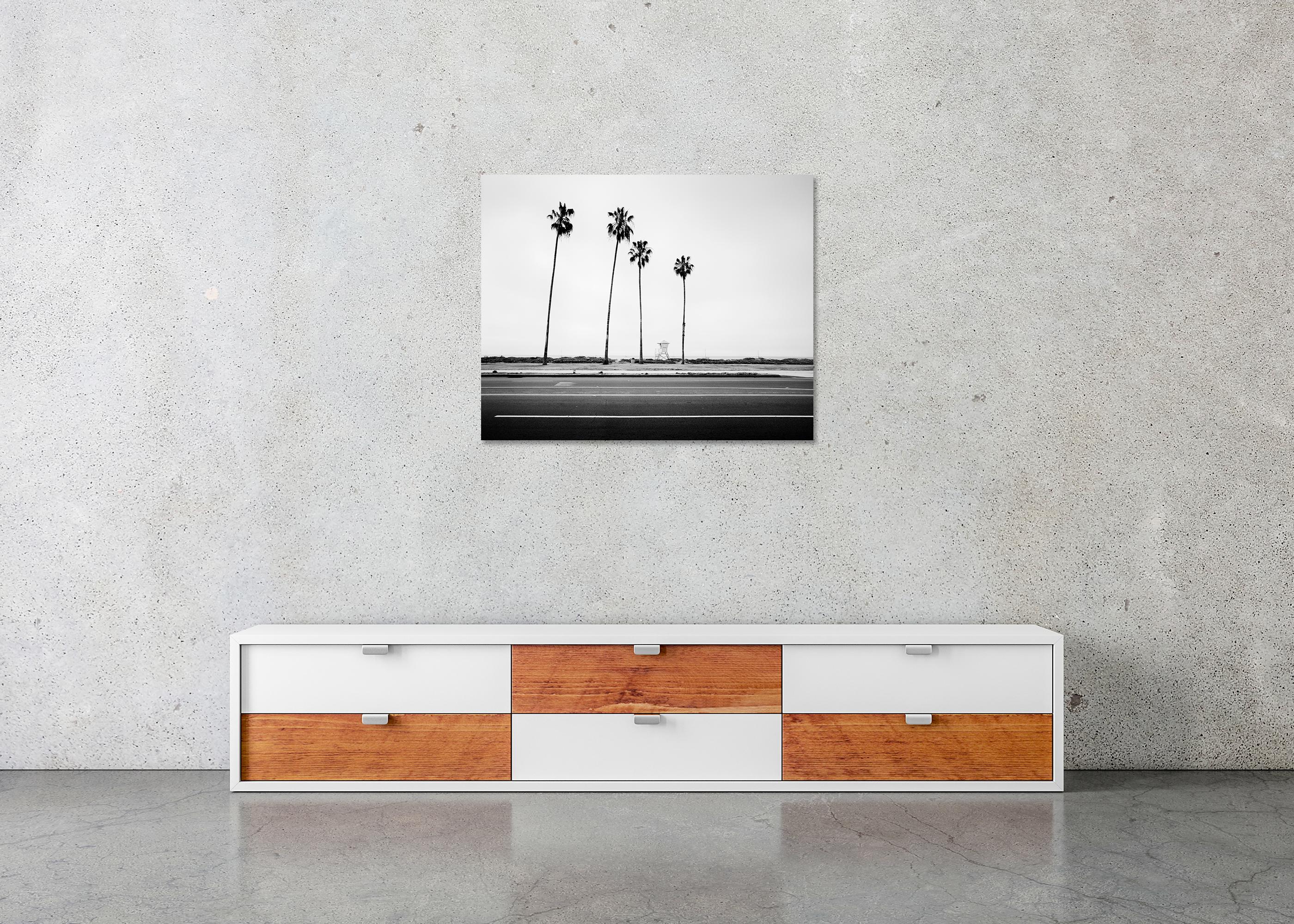Palmen, Beach, Santa Barbara, USA, Schwarz-Weiß-Landschaftsfotografie im Angebot 4