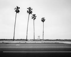 Palmiers, plage, Santa Barbara, USA, photographie d'art de paysage en noir et blanc