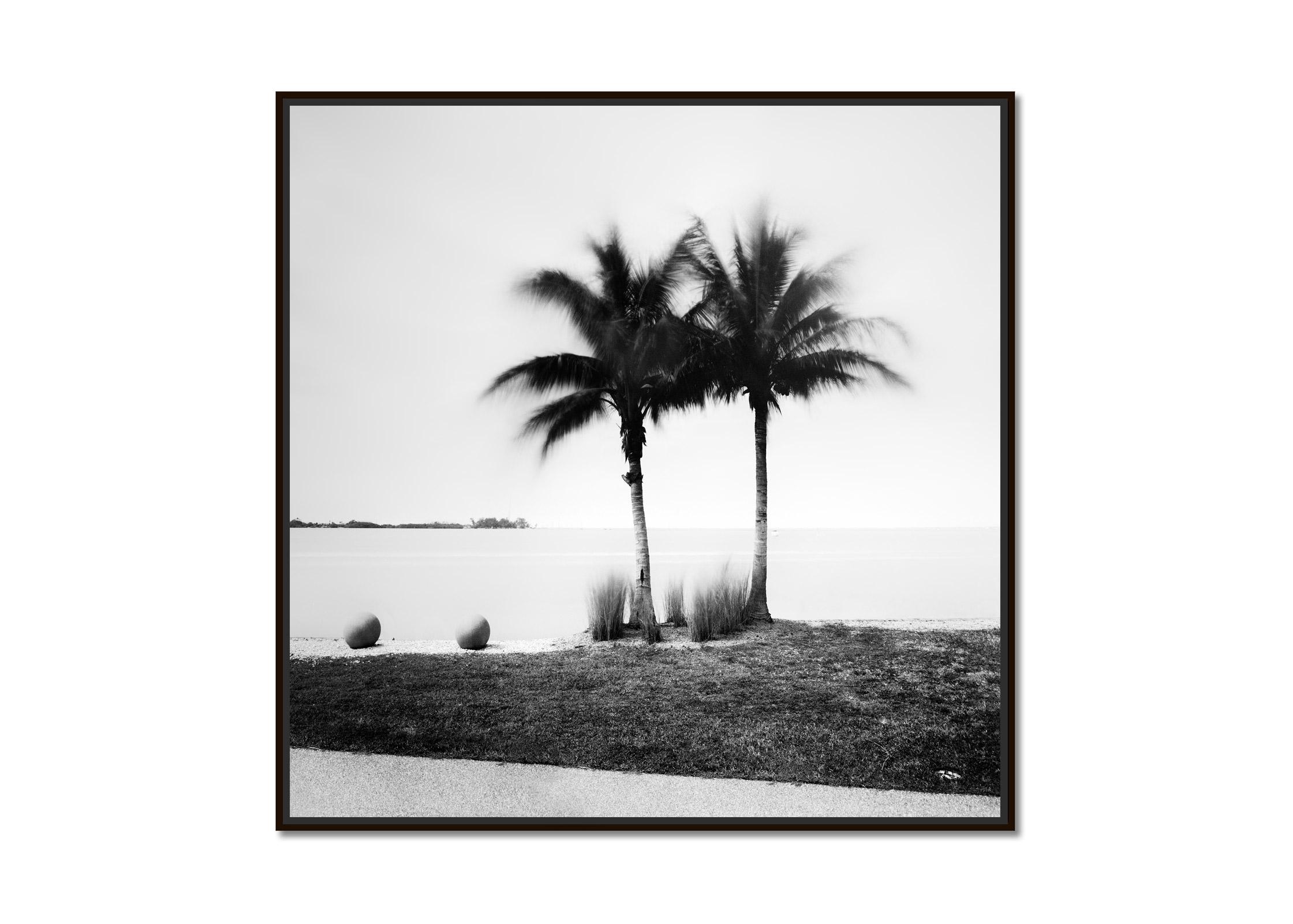 Palm Trees on Promenade, Florida, USA, black and white photography, landscape - Photograph by Gerald Berghammer