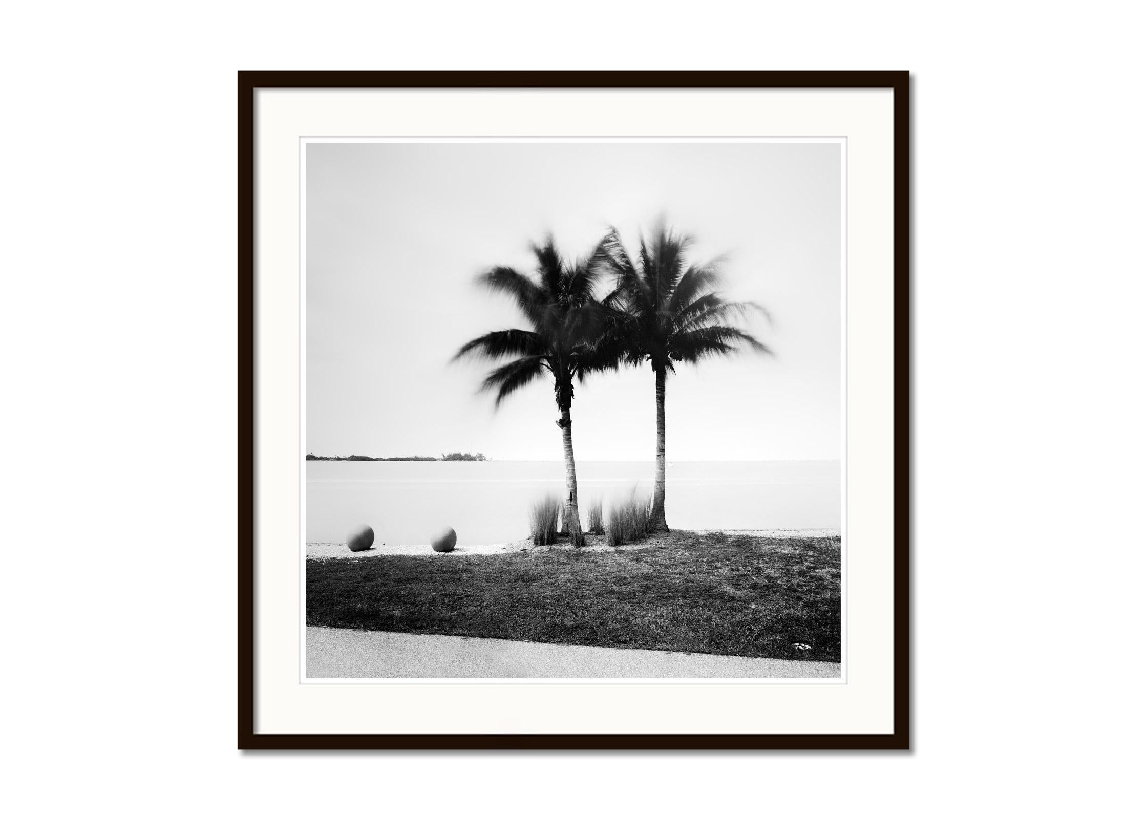 Palm Trees on Promenade, Florida, USA, black and white photography, landscape - Contemporary Photograph by Gerald Berghammer