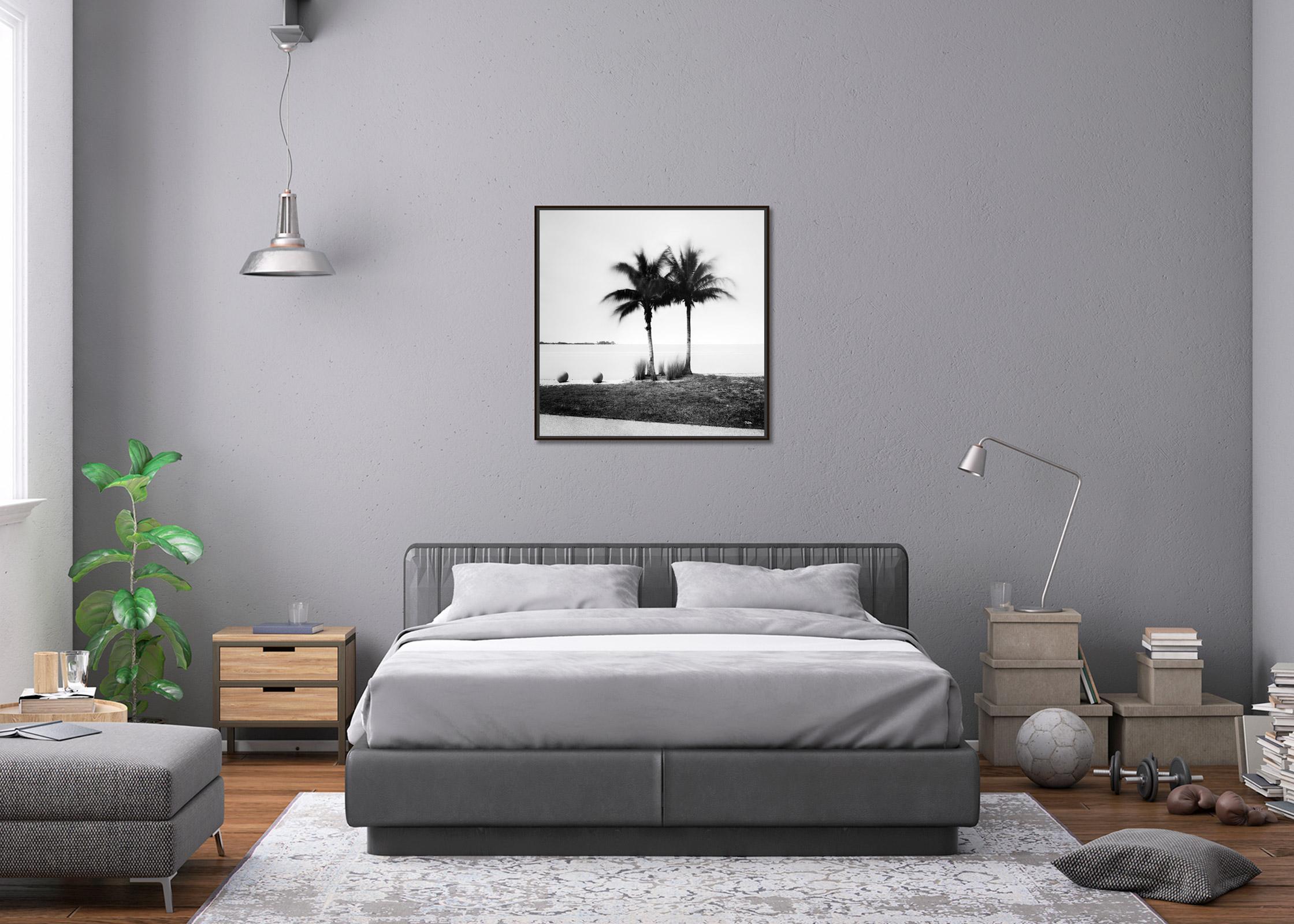 Palm Trees on Promenade, Florida, USA, black and white photography, landscape For Sale 1