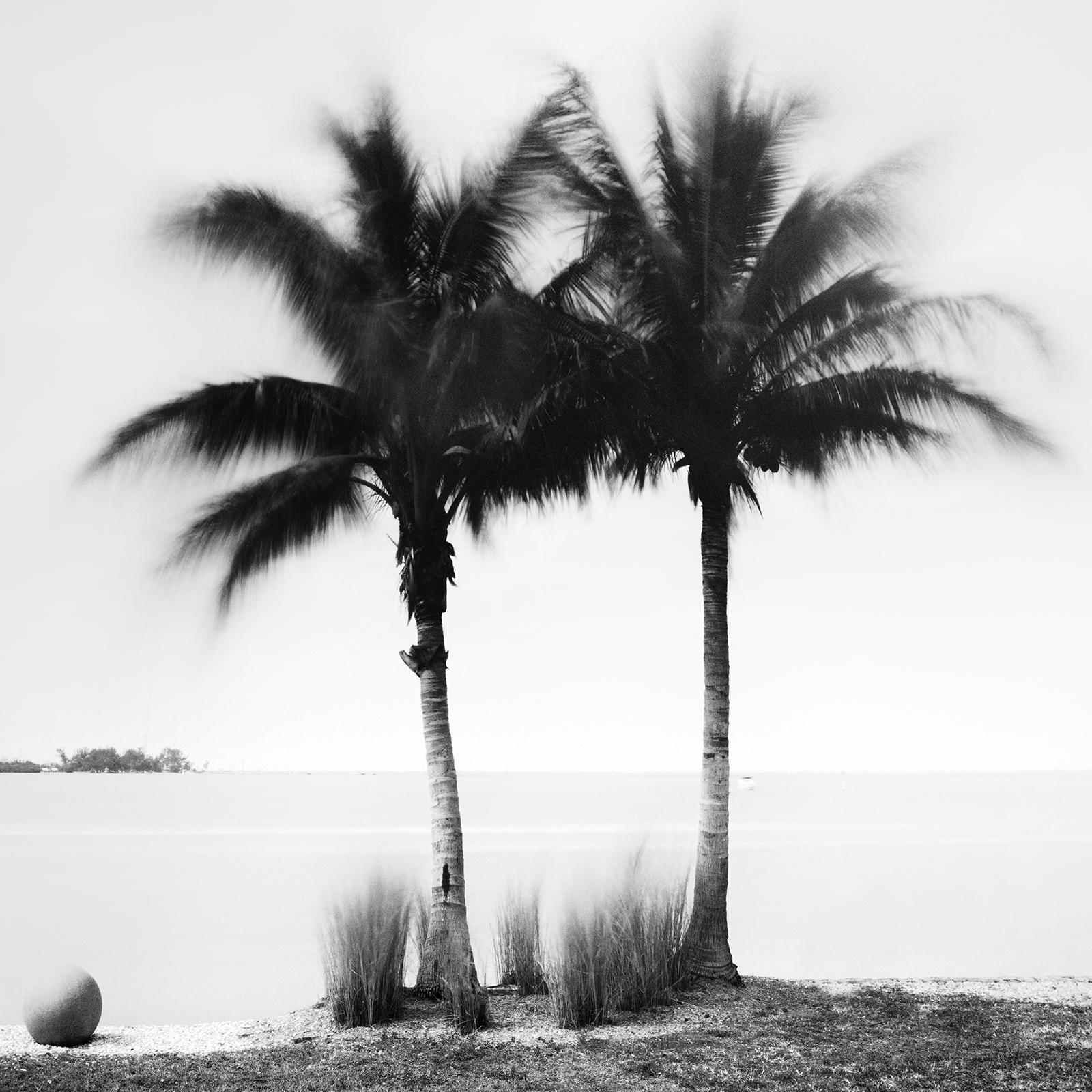 Palm Trees on Promenade, Florida, USA, black and white photography, landscape For Sale 2