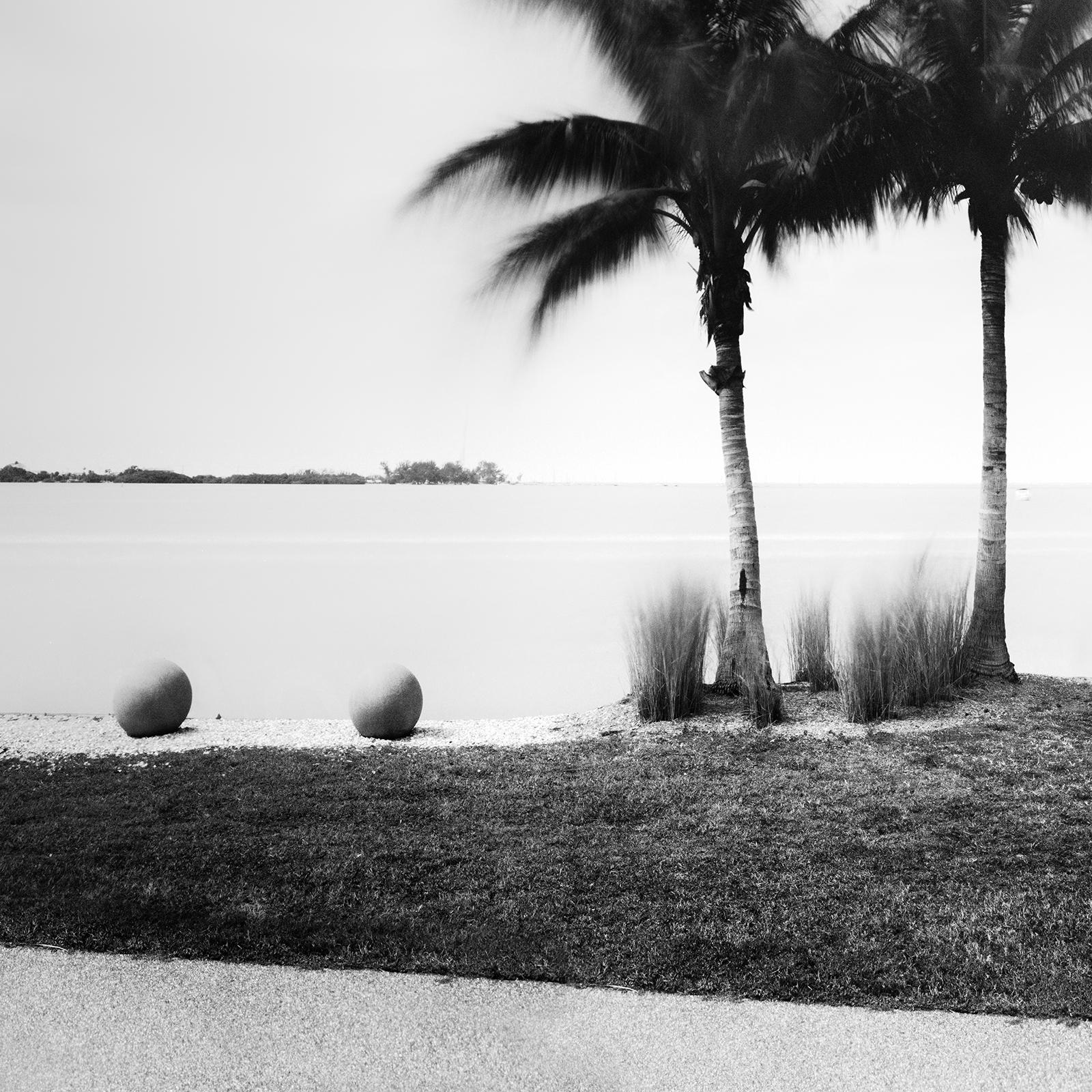 Palm Trees on Promenade, Florida, USA, black and white photography, landscape For Sale 3