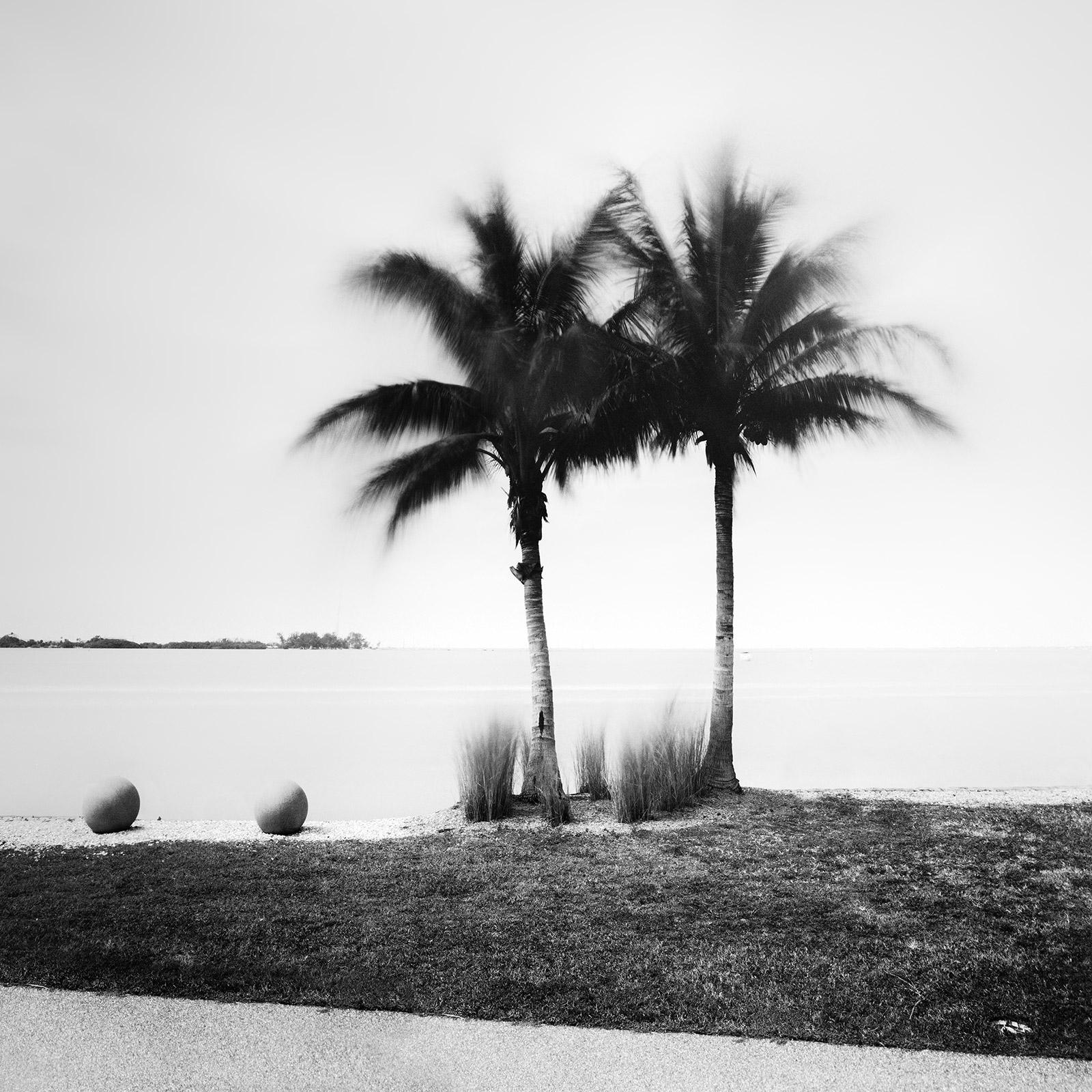 Gerald Berghammer Landscape Photograph - Palm Trees on Promenade, Florida, USA, black and white photography, landscape
