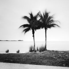 Palm Trees on Promenade, Florida, USA, black and white photography, landscape