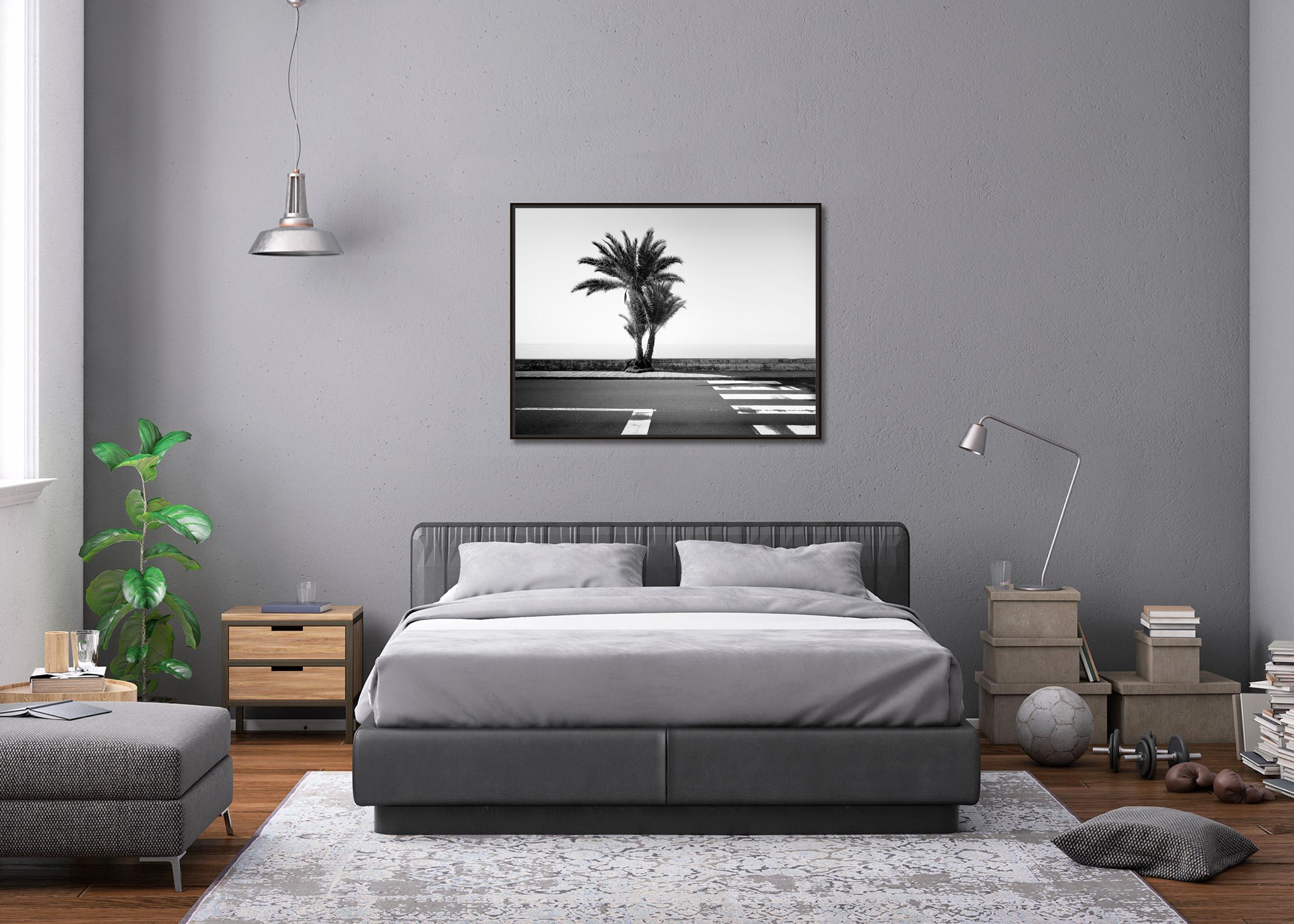 Palm Trees on the Roadside, Portugal, black and white fine art photography print - Contemporary Photograph by Gerald Berghammer