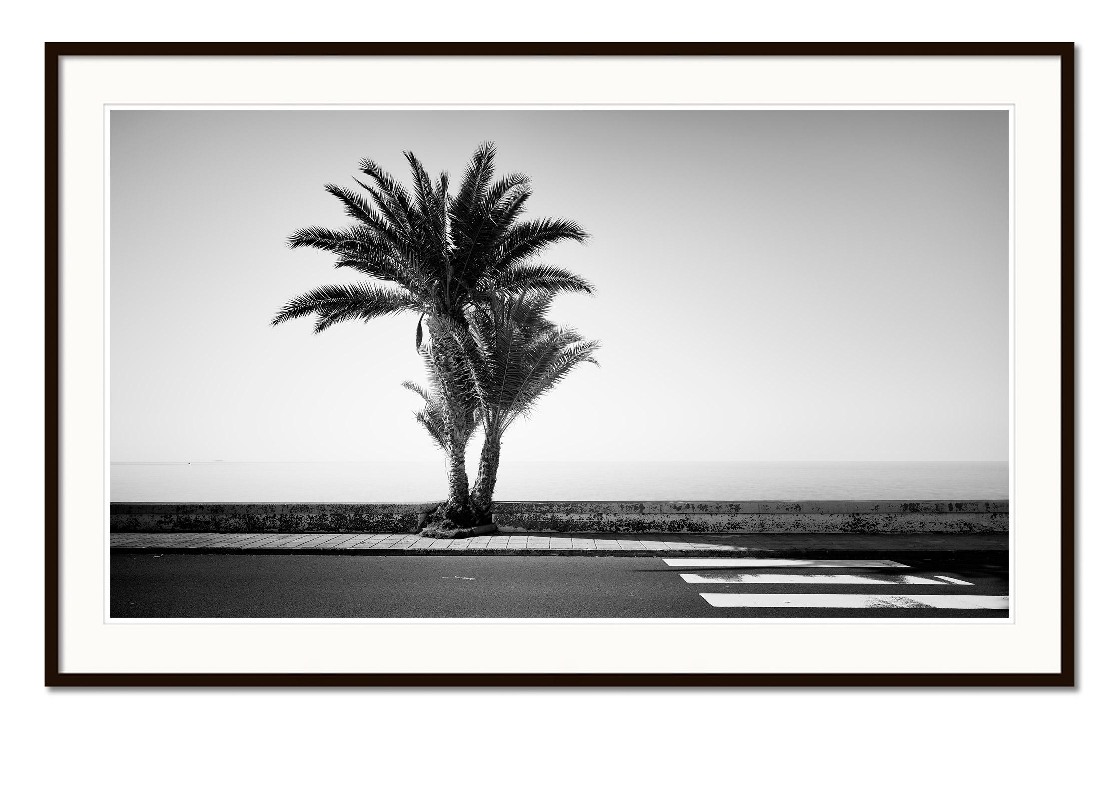 Palmen an der Straße, Portugal, Schwarz-Weiß-Fotografie, Landschaft (Grau), Landscape Photograph, von Gerald Berghammer