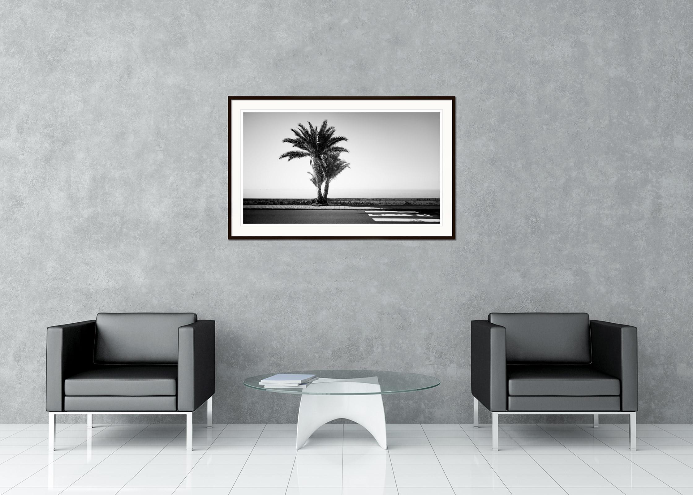 Palm Trees on the roadside, Portugal, Black and white photography, landscape - Street Art Photograph by Gerald Berghammer