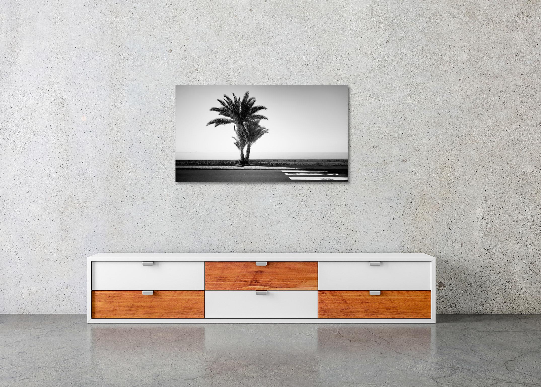 Palmen an der Straße, Portugal, Schwarz-Weiß-Fotografie, Landschaft im Angebot 2
