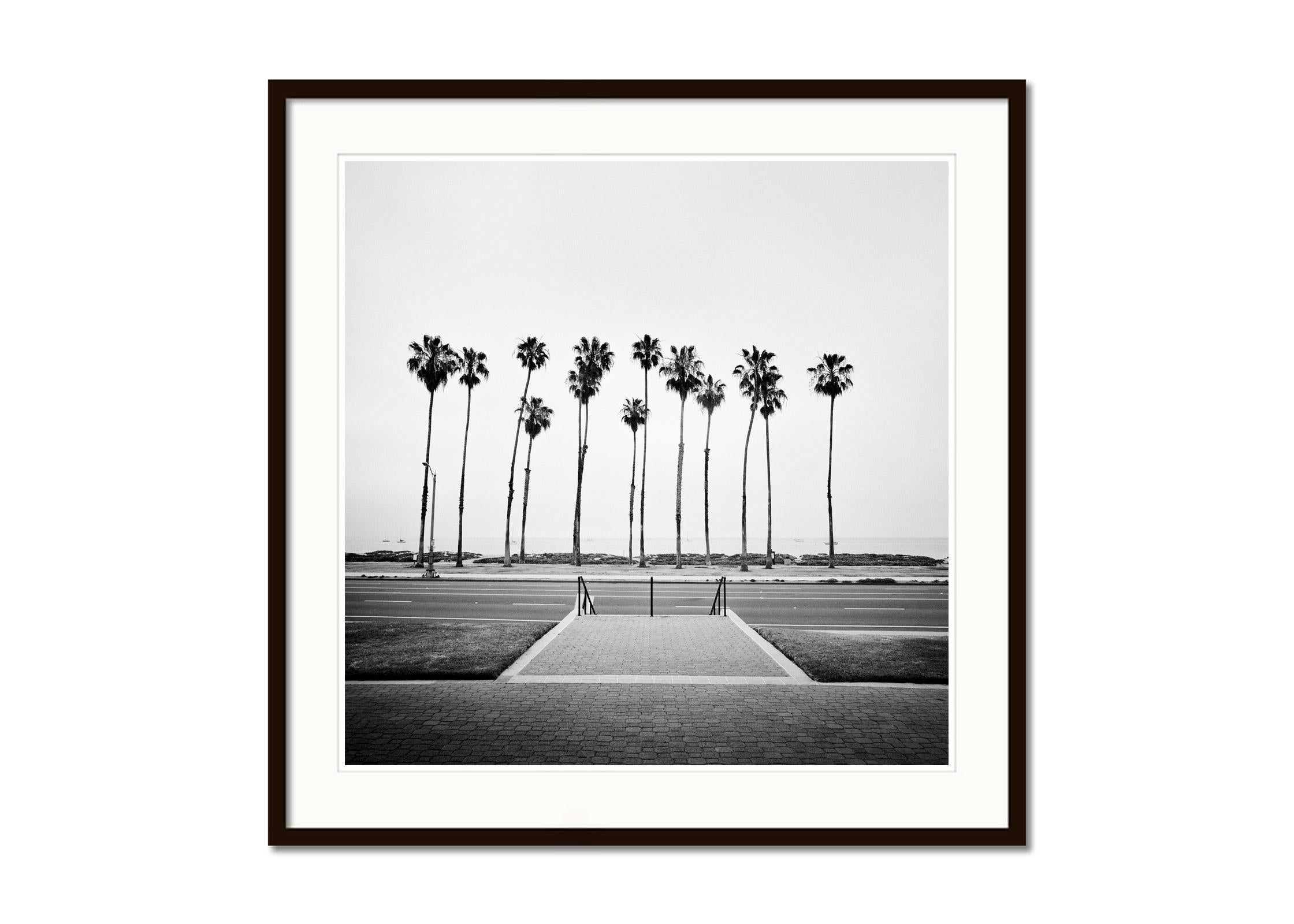 Palmeras Santa Bárbara California EE.UU. fotografía artística de paisaje en blanco y negro - Black and White Photograph Gris de Gerald Berghammer