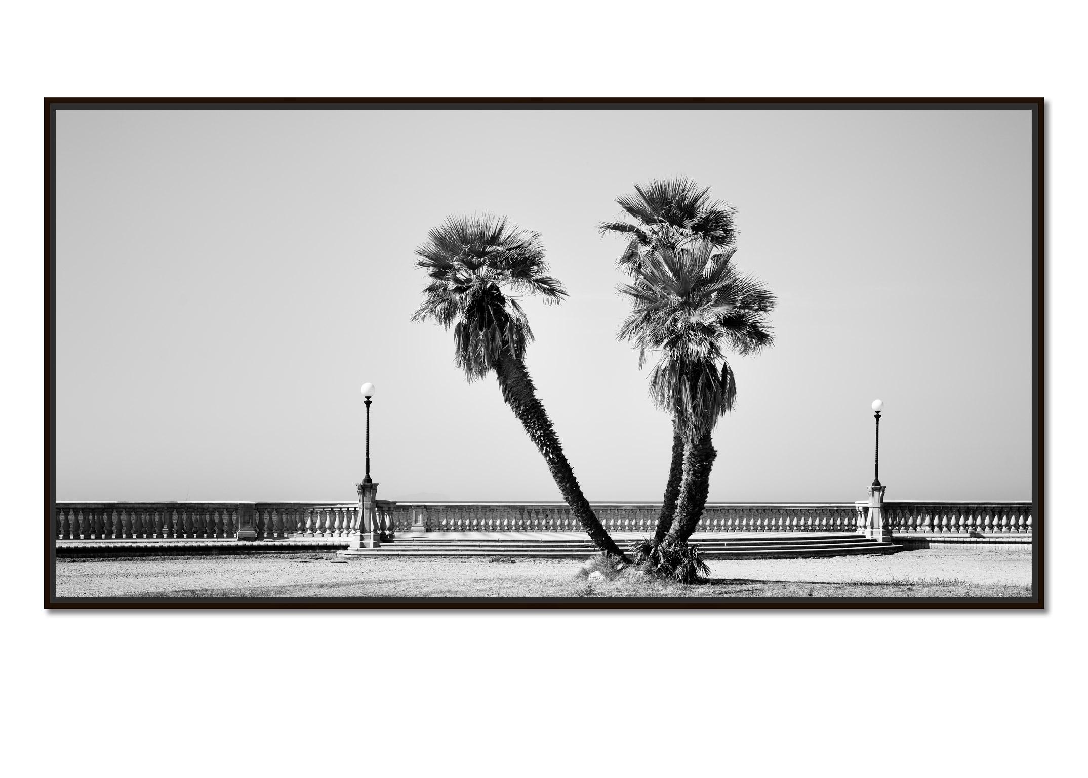 Palmenbäume, Terrazza Mascagni, Toskana, Schwarz-Weiß-Fotografie, Landschaft  – Photograph von Gerald Berghammer
