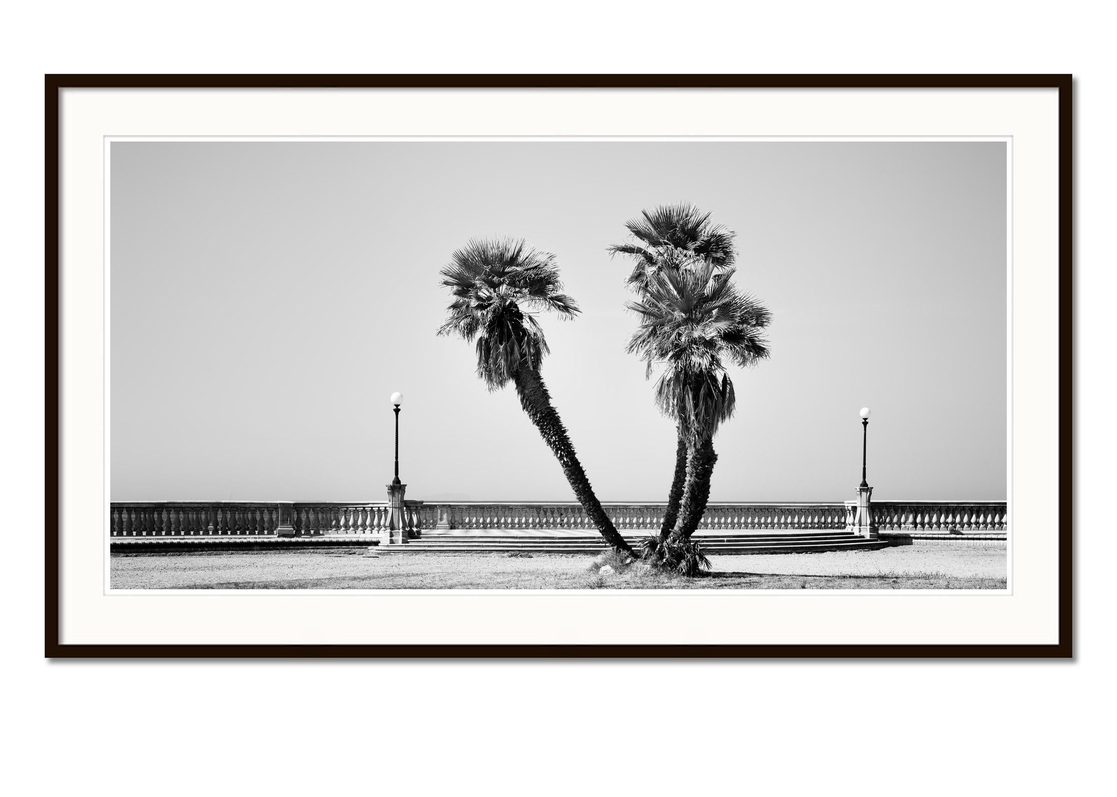 Palmenbäume, Terrazza Mascagni, Toskana, Schwarz-Weiß-Fotografie, Landschaft  (Grau), Landscape Photograph, von Gerald Berghammer