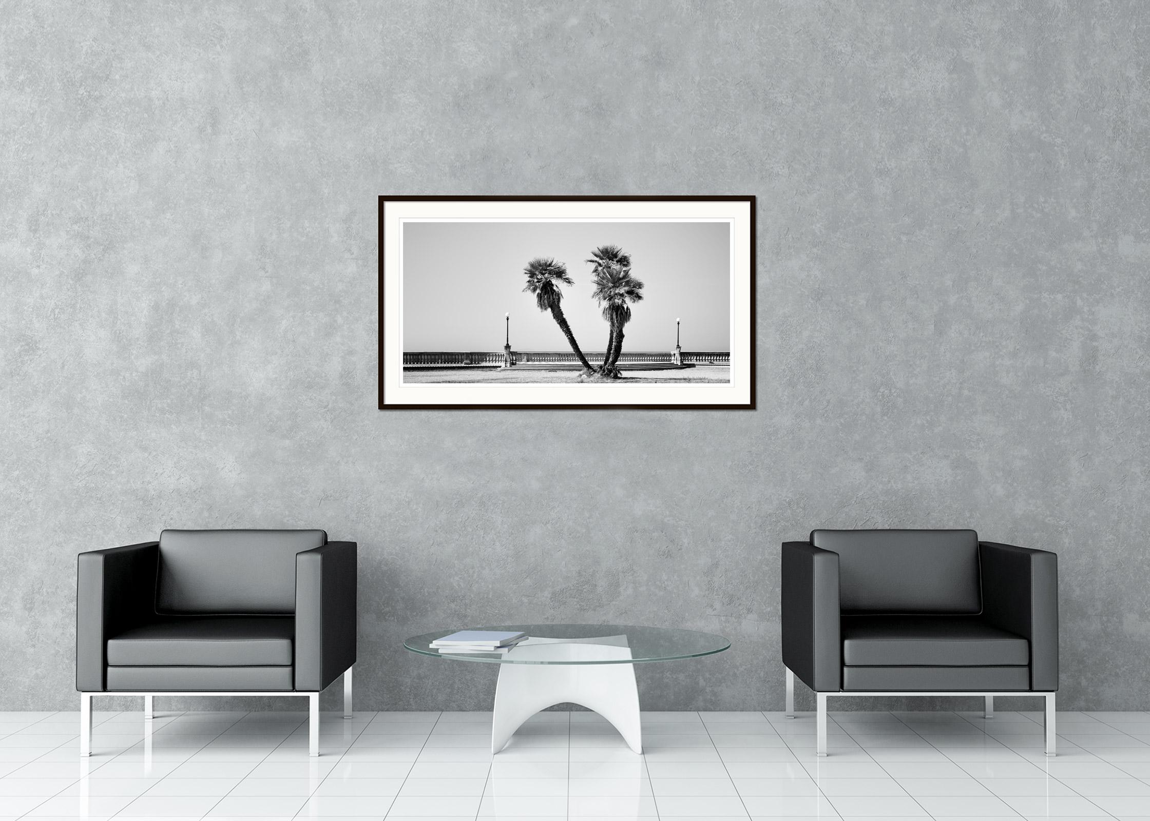Schwarz-Weiß-Panorama-Landschaftsfotografie. Palmen auf der beeindruckenden Promenade Terrazza Mascagni in der Toskana, Italien. Pigmenttintendruck in einer limitierten Auflage von 8 Exemplaren. Alle Drucke von Gerald Berghammer werden auf