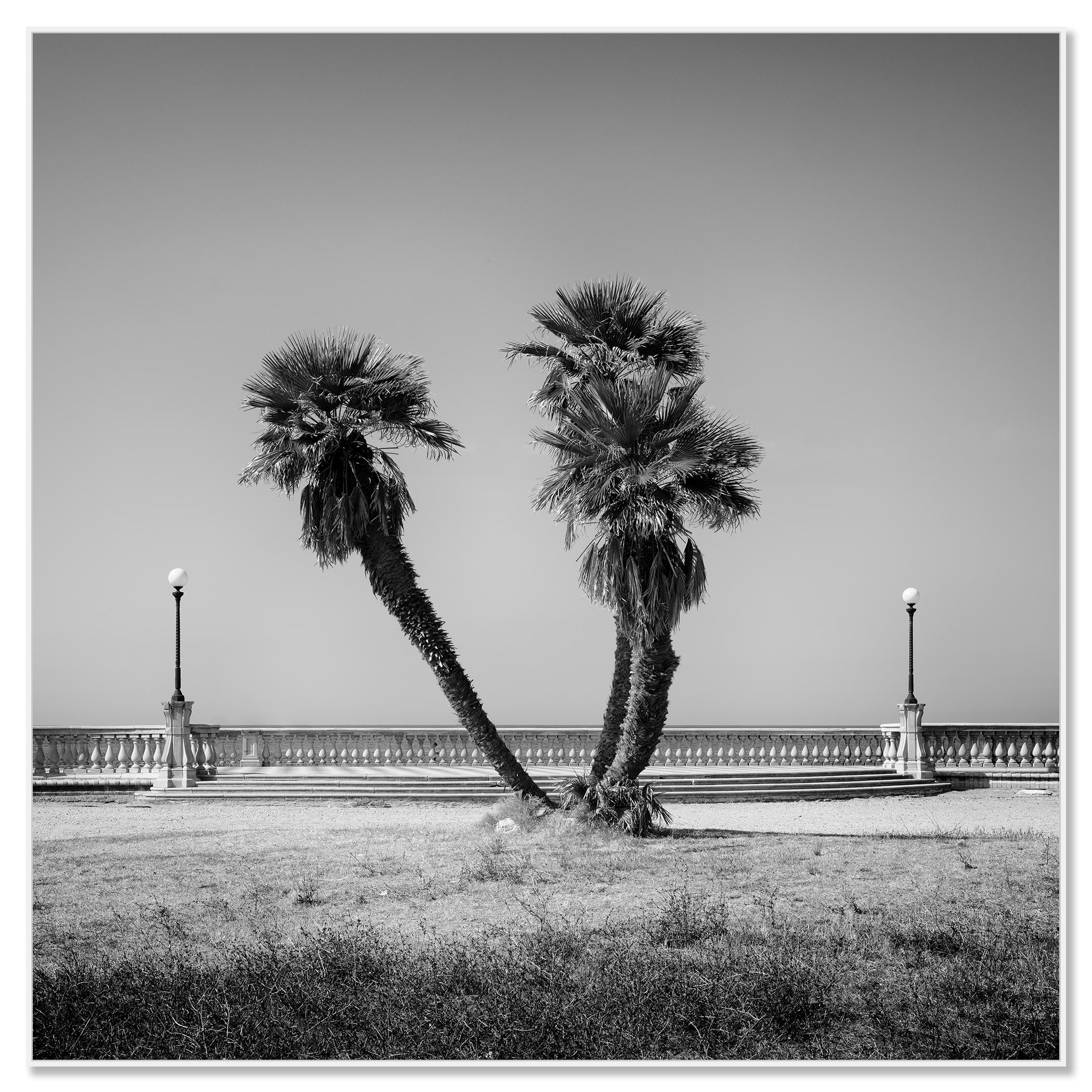 Palm Trees, Tuscany, monochrome photograph, limited edition landscape print - Photograph by Gerald Berghammer