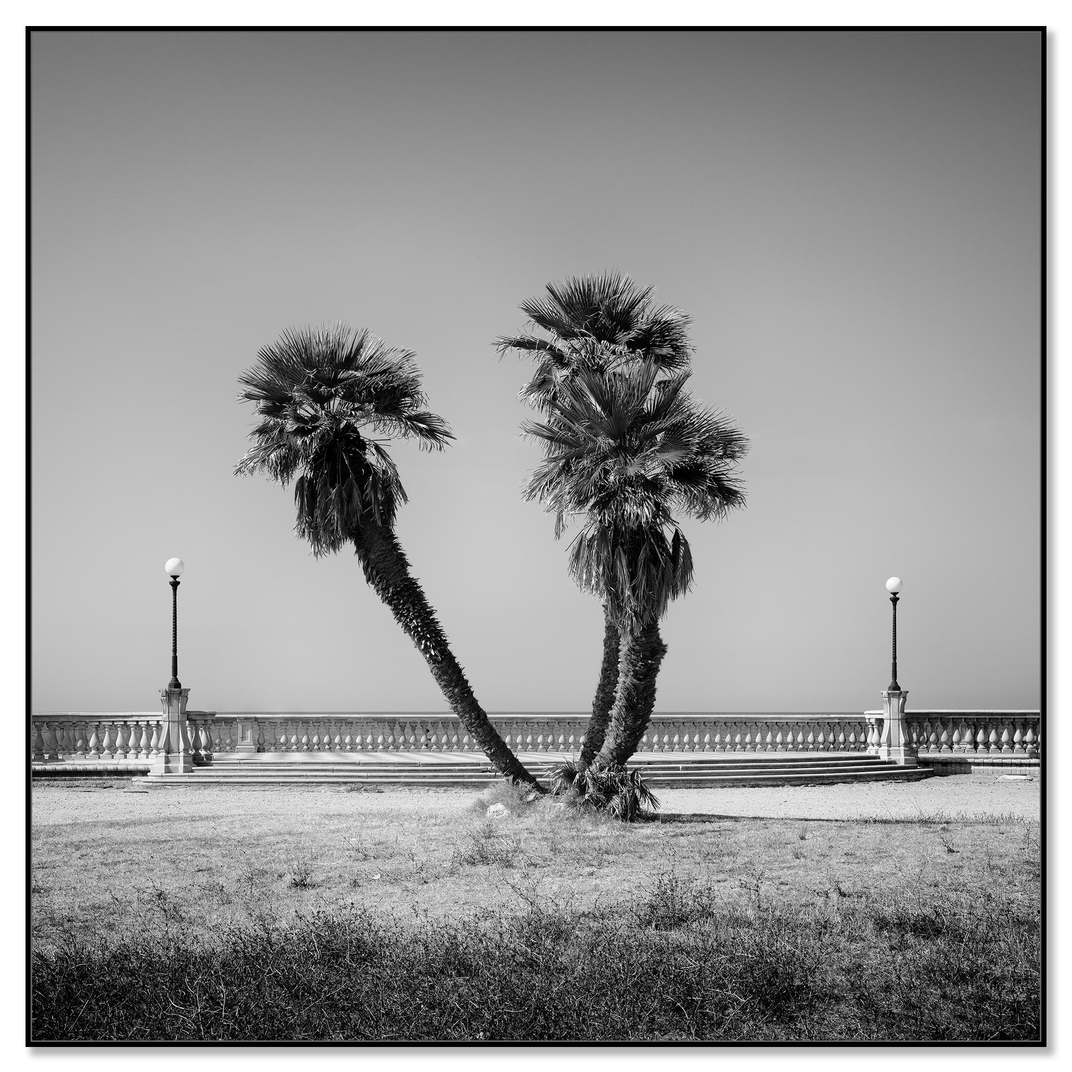 gerald palm