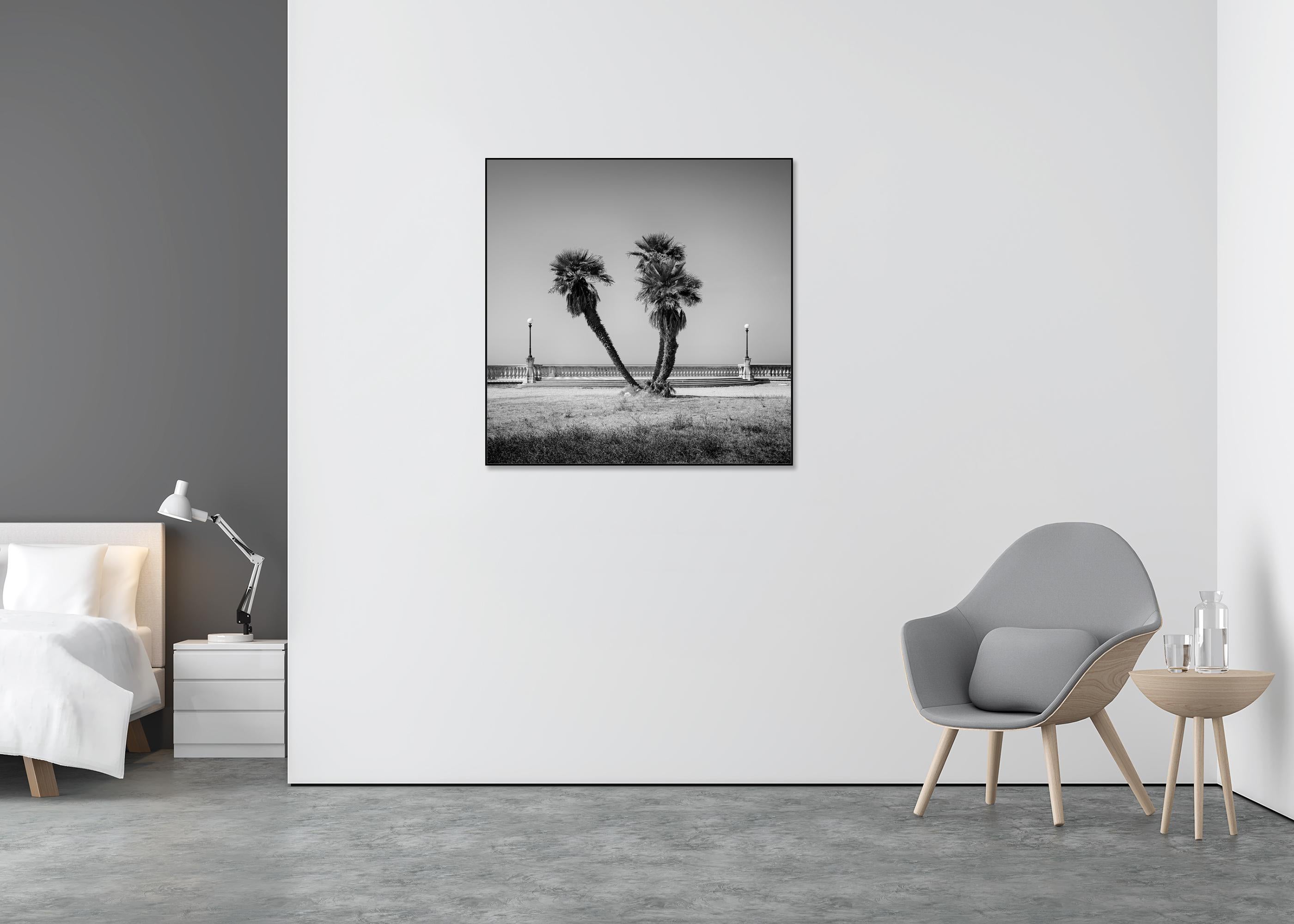 southern palm photography
