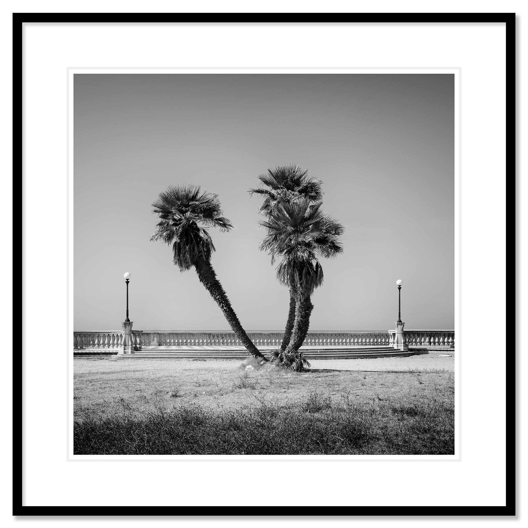 Palm Trees, Tuscany, monochrome photograph, limited edition landscape print - Contemporary Photograph by Gerald Berghammer