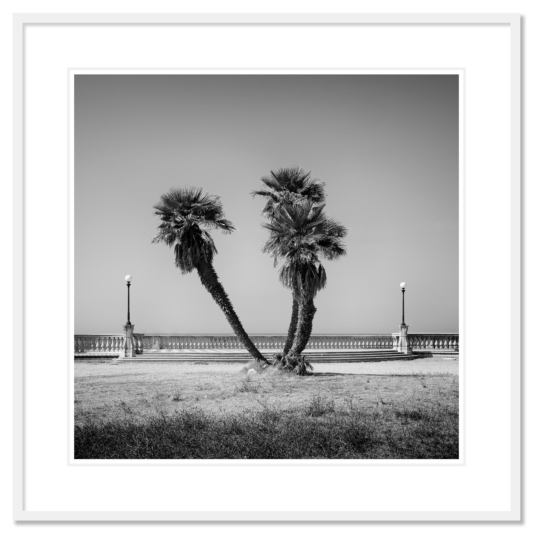 Palm Trees, Tuscany, monochrome photograph, limited edition landscape print - Gray Black and White Photograph by Gerald Berghammer