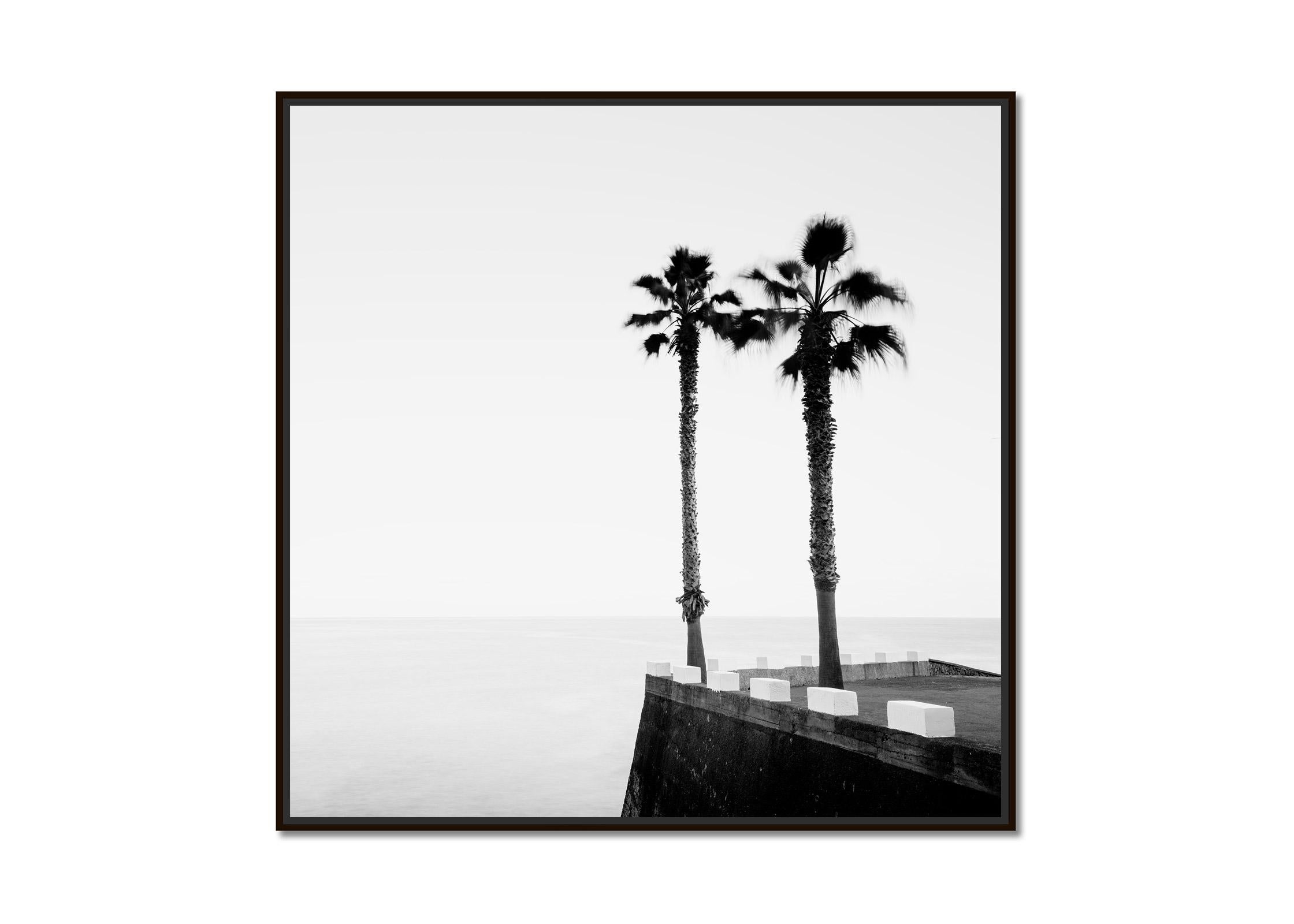 Parking lot with Palm Trees, Madeira, black and white photography, art landscape - Photograph by Gerald Berghammer