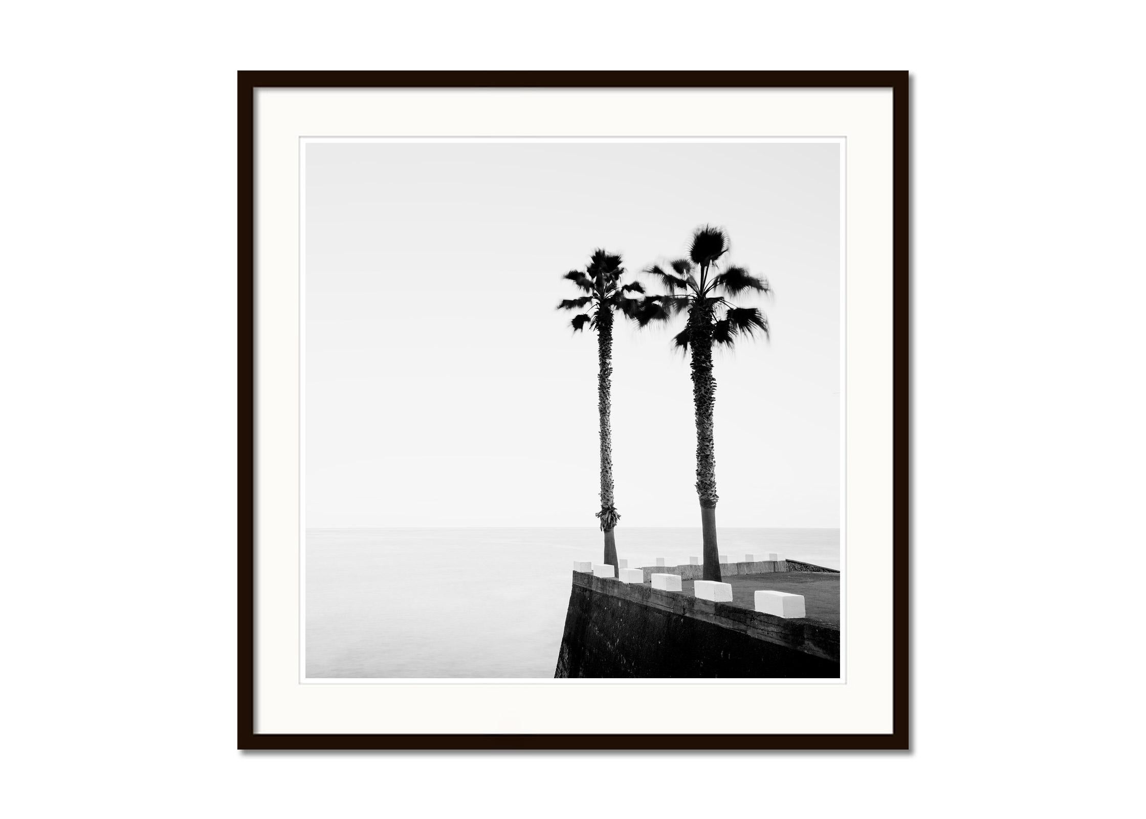 Parking lot with Palm Trees, Madeira, black and white photography, art landscape - Contemporary Photograph by Gerald Berghammer