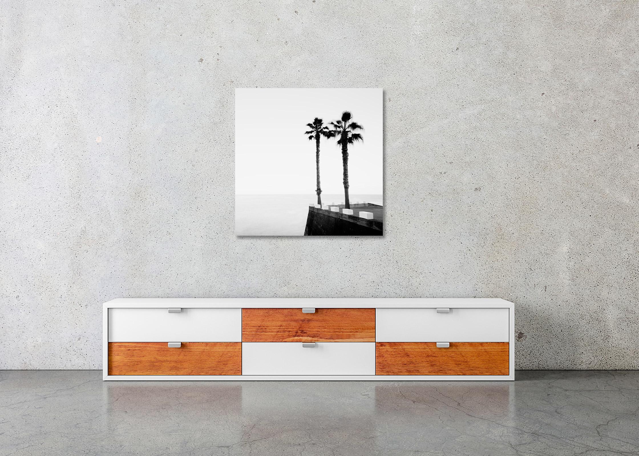 Parking lot with Palm Trees, Madeira, black and white photography, art landscape For Sale 1