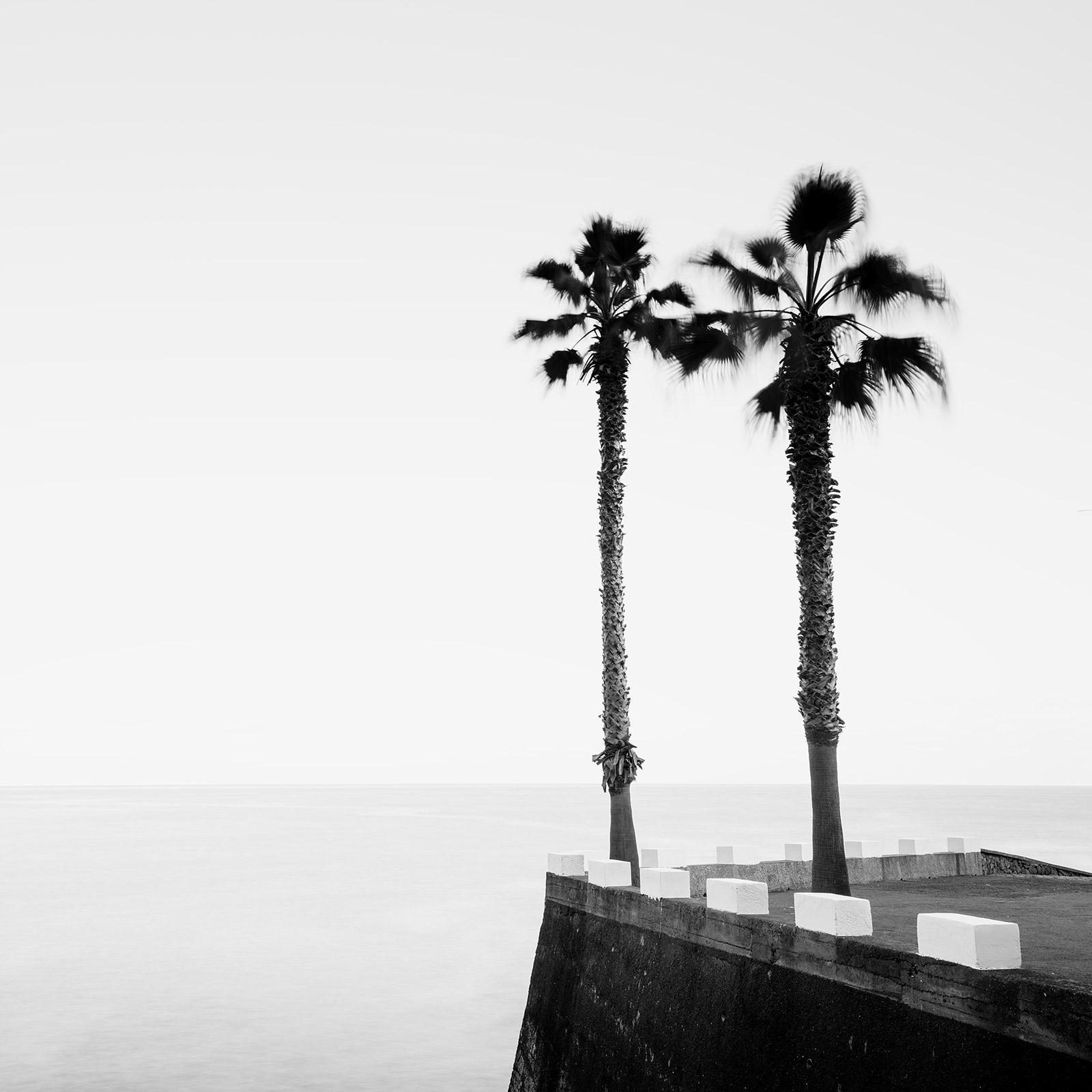 Parking lot with Palm Trees black and white fine art landscape photography print