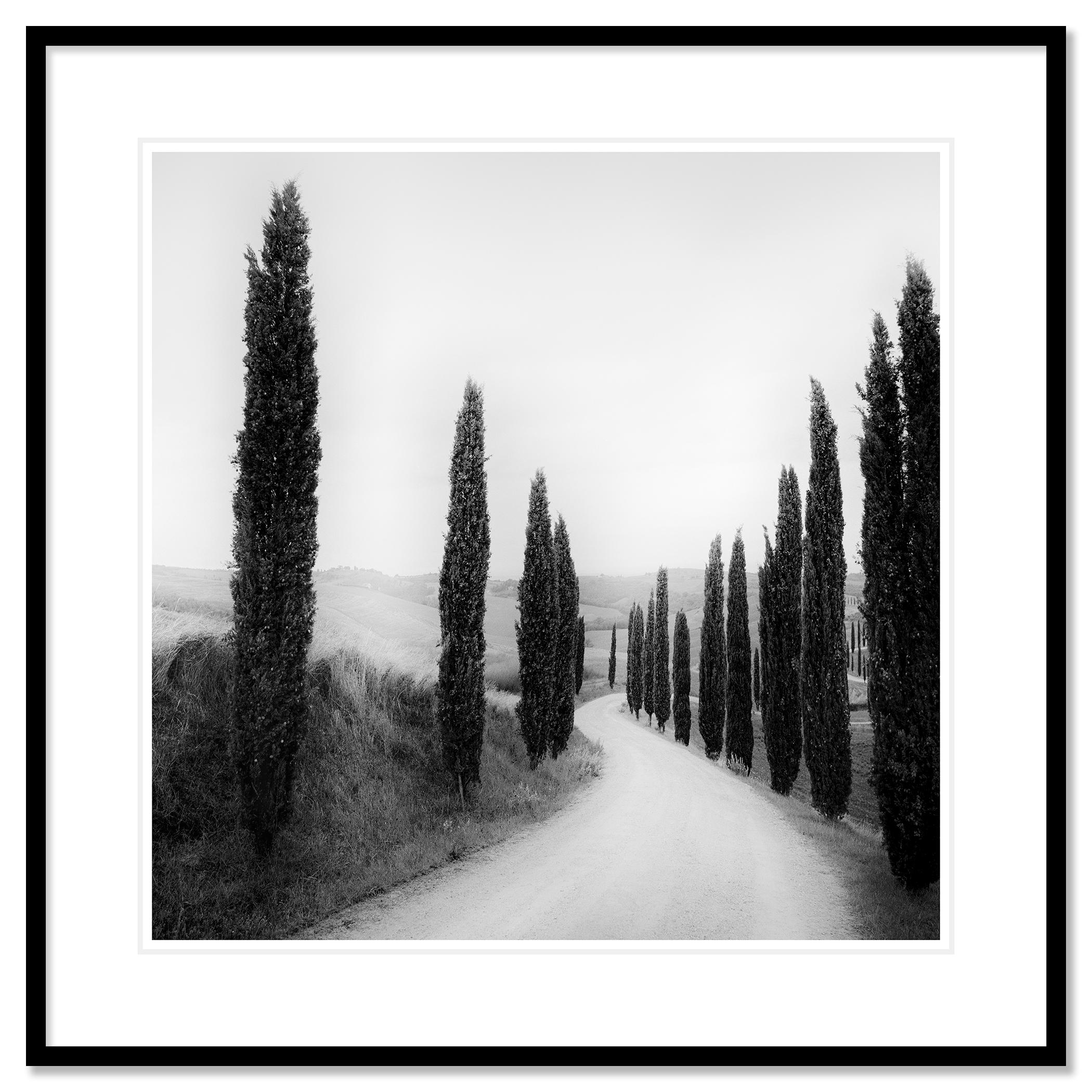 Fotografía artística de paisajes en blanco y negro. Impresión con tinta de pigmento de archivo de una edición limitada de 9. Todas las impresiones de Gerald Berghammer se realizan por encargo en ediciones limitadas sobre Hahnemuehle Photo Rag