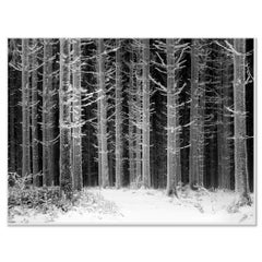 « Chemin à travers la forêt givrée », photographie en noir et blanc en édition limitée