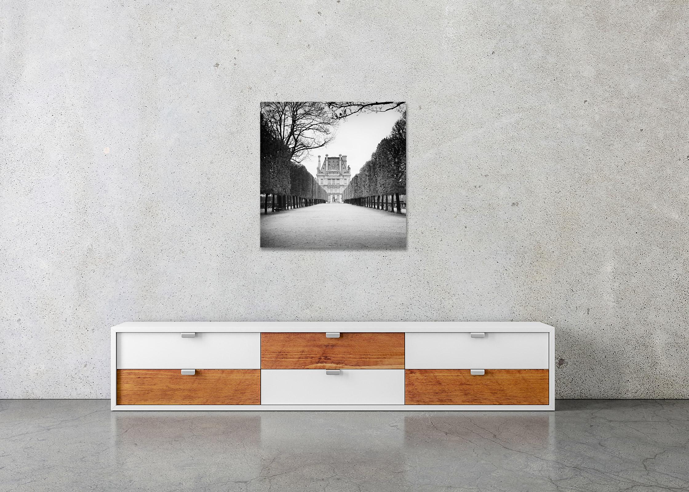 Pavillon de Flore, París, Francia, fotografía artística en blanco y negro, paisaje urbano en venta 2