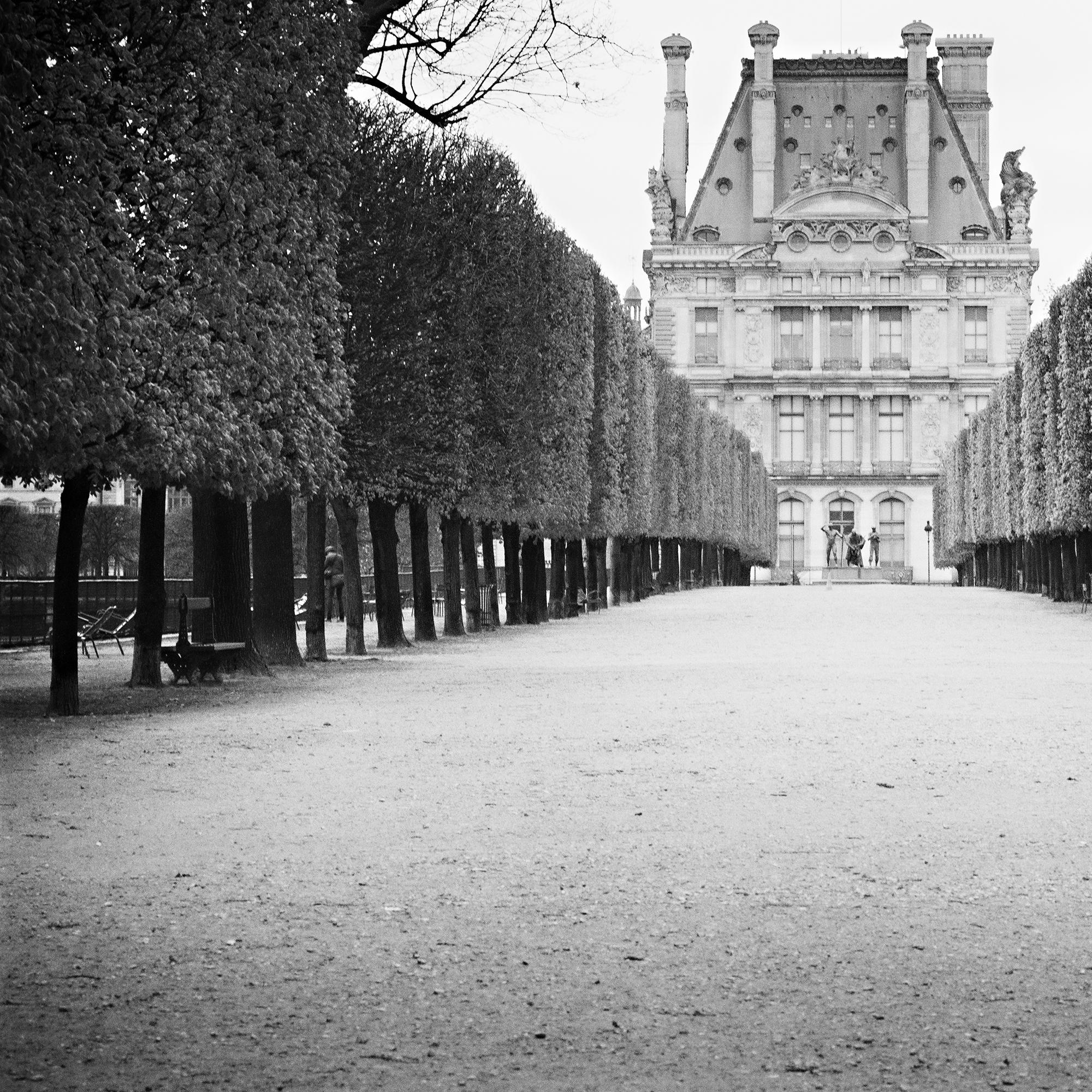 Pavillon de Flore, París, Francia, fotografía artística en blanco y negro, paisaje urbano en venta 3
