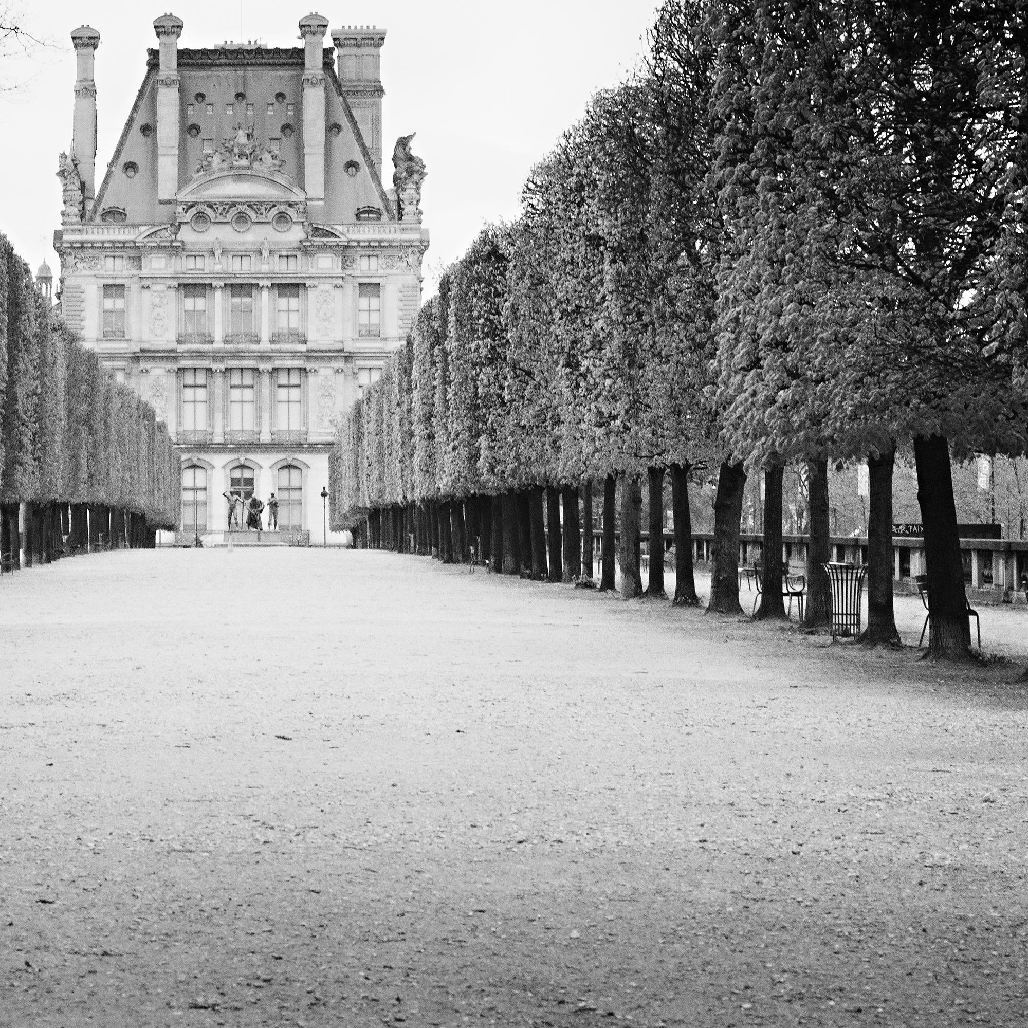 Pavillon de Flore, París, Francia, fotografía artística en blanco y negro, paisaje urbano en venta 4