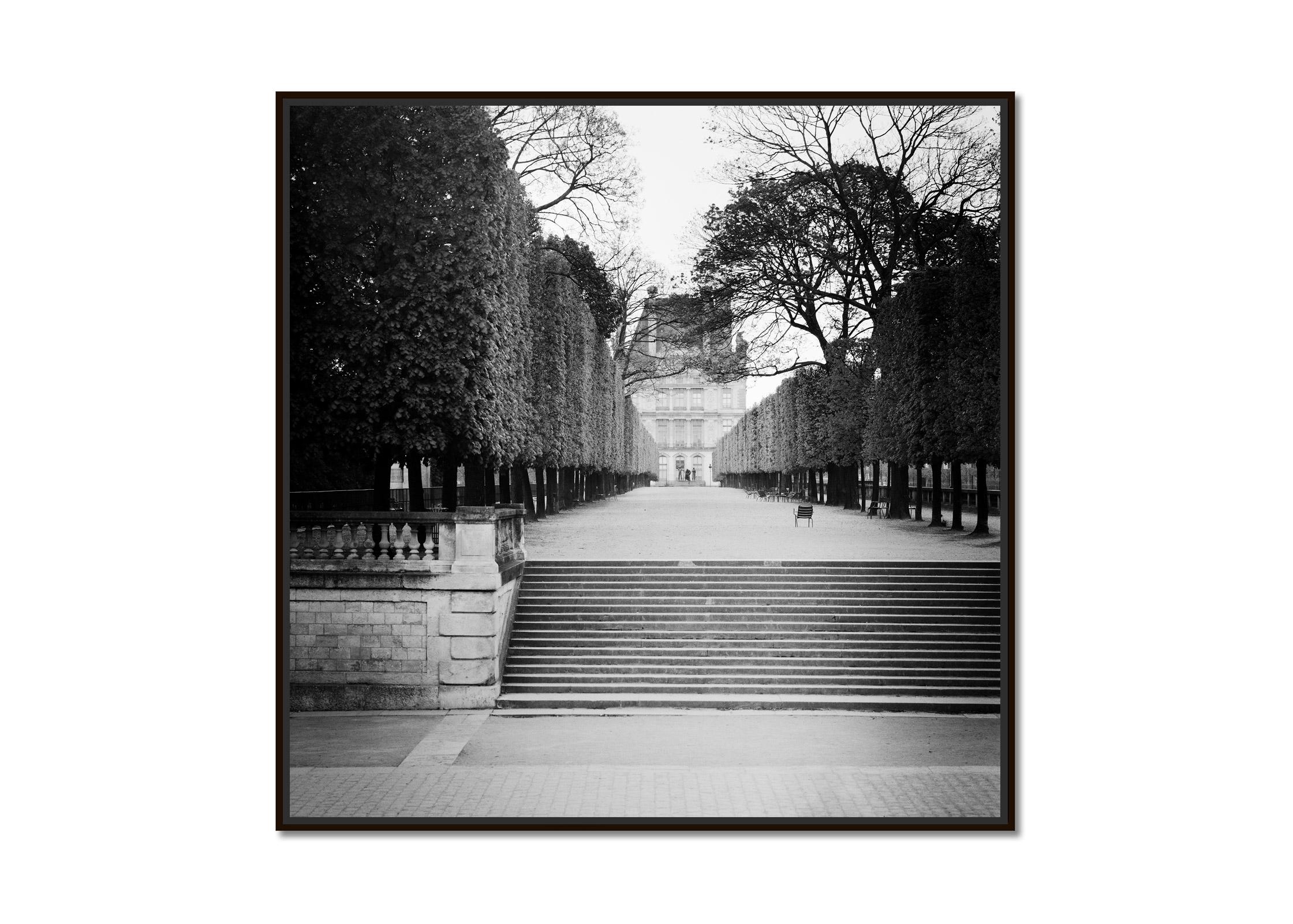 Black and White Fine Art landscape photography. Way through the tree avenue to the Pavillon de Flore at the Louvre in Paris, France. Archival pigment ink print, edition of 9. Signed, titled, dated and numbered by artist. Certificate of authenticity