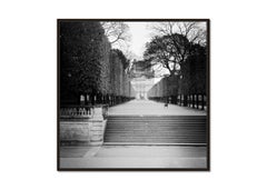 Pavillon de Flore, Tree Avenue, Louvre, monochrome photograph limited edition