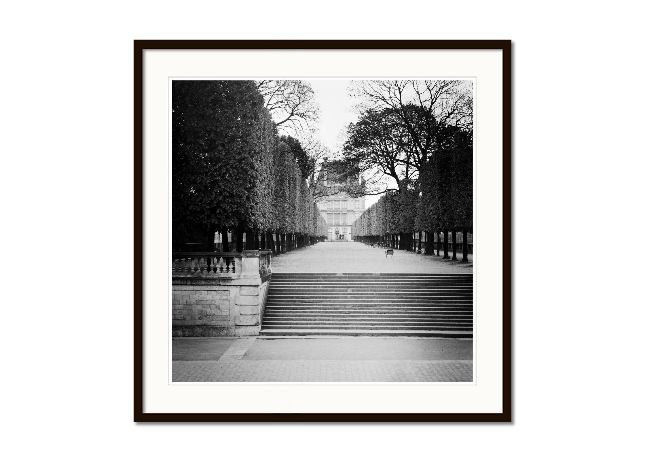 Pavillon de Flore Tree Avenue Louvre Paris Black and White Cityscape Photography For Sale 2