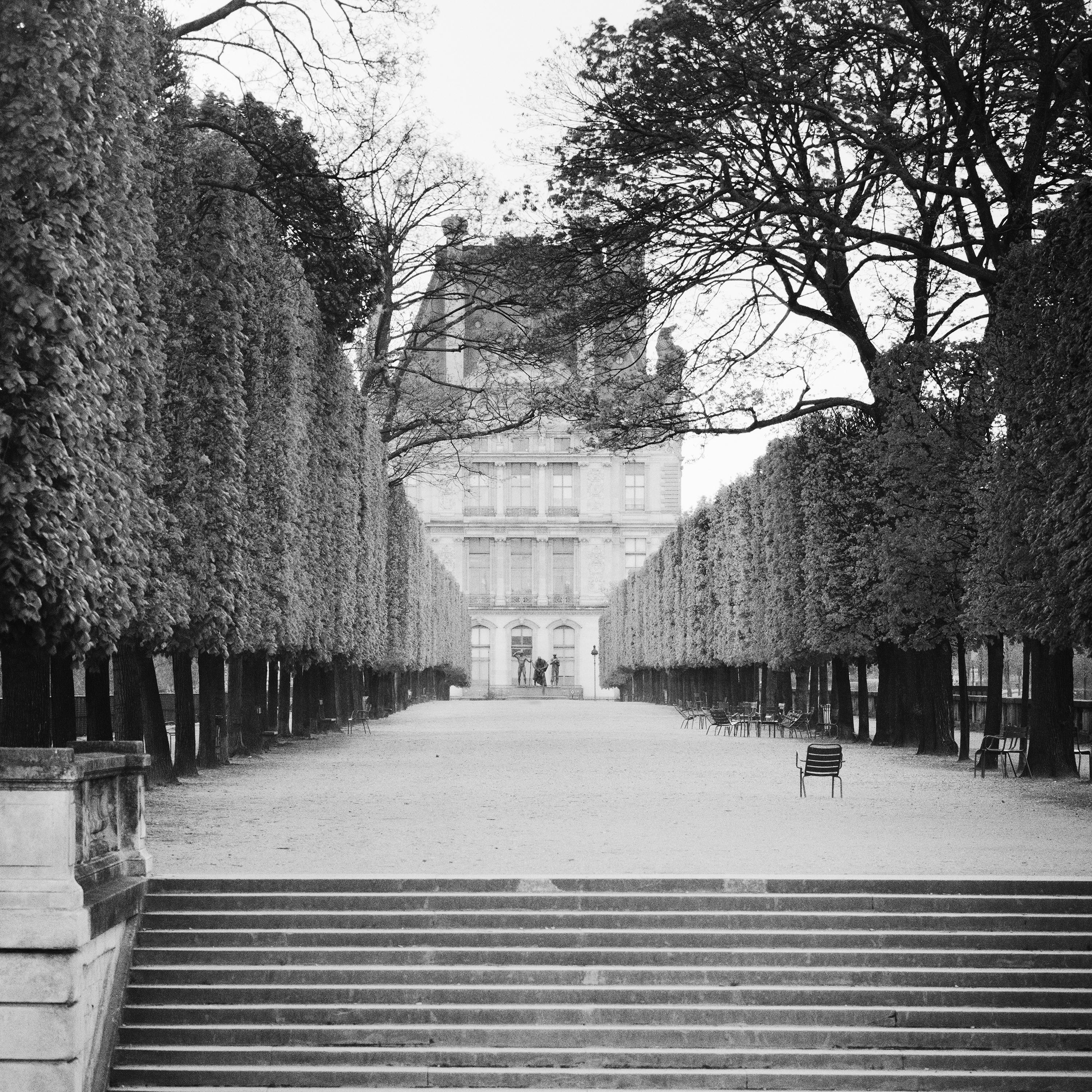 Pavillon de Flore Tree Avenue Louvre Paris Black and White Cityscape Photography For Sale 6