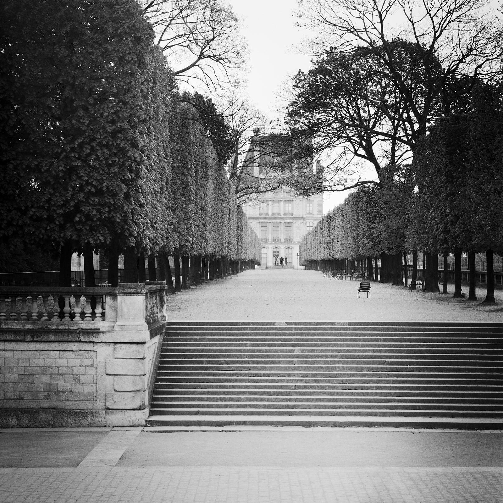 Gerald Berghammer Landscape Photograph - Pavillon de Flore Tree Avenue Louvre Paris Black and White Cityscape Photography