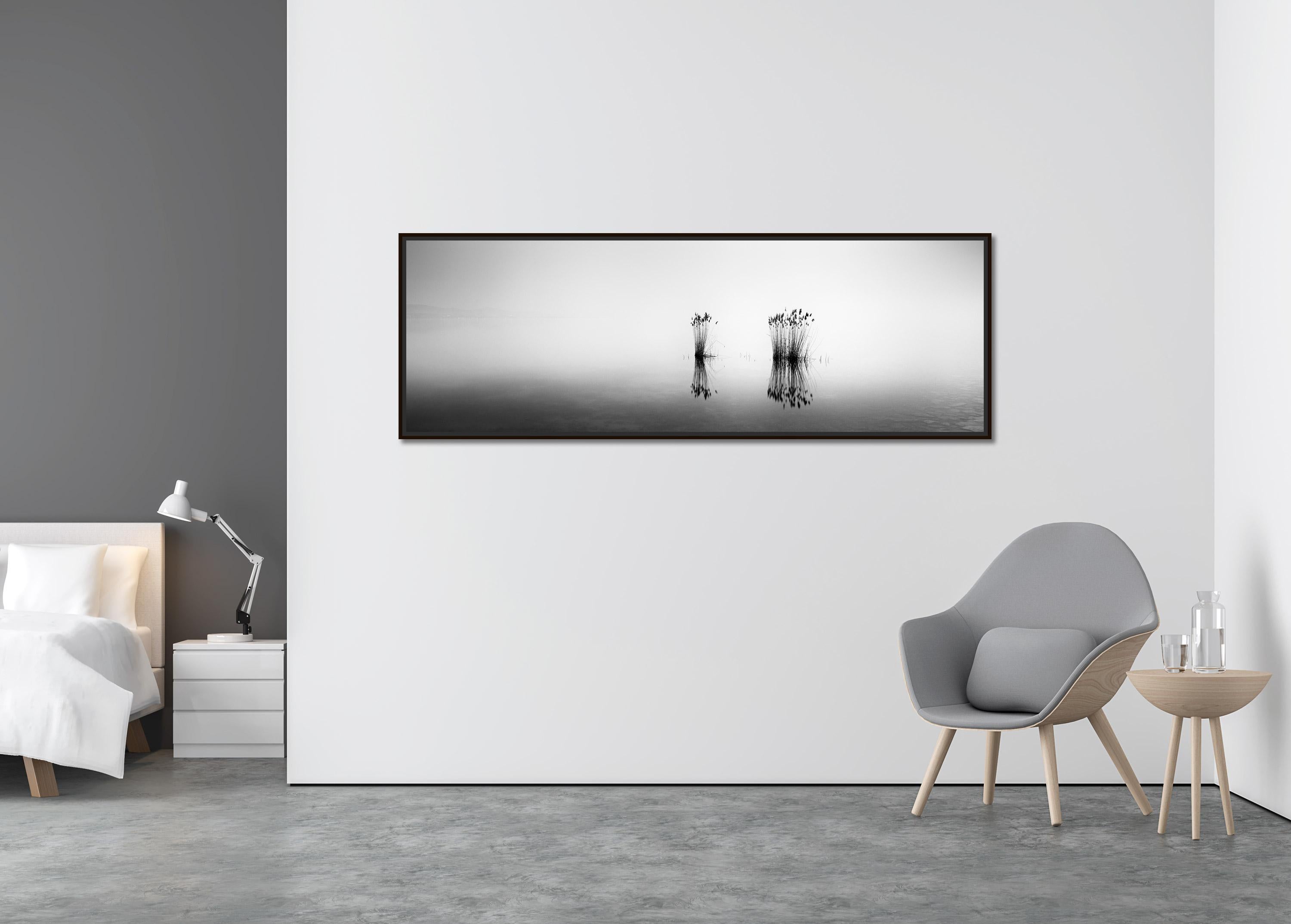 Phragmites Panorama minimalisme noir et blanc longue exposition photographie de paysage aquatique - Contemporain Photograph par Gerald Berghammer
