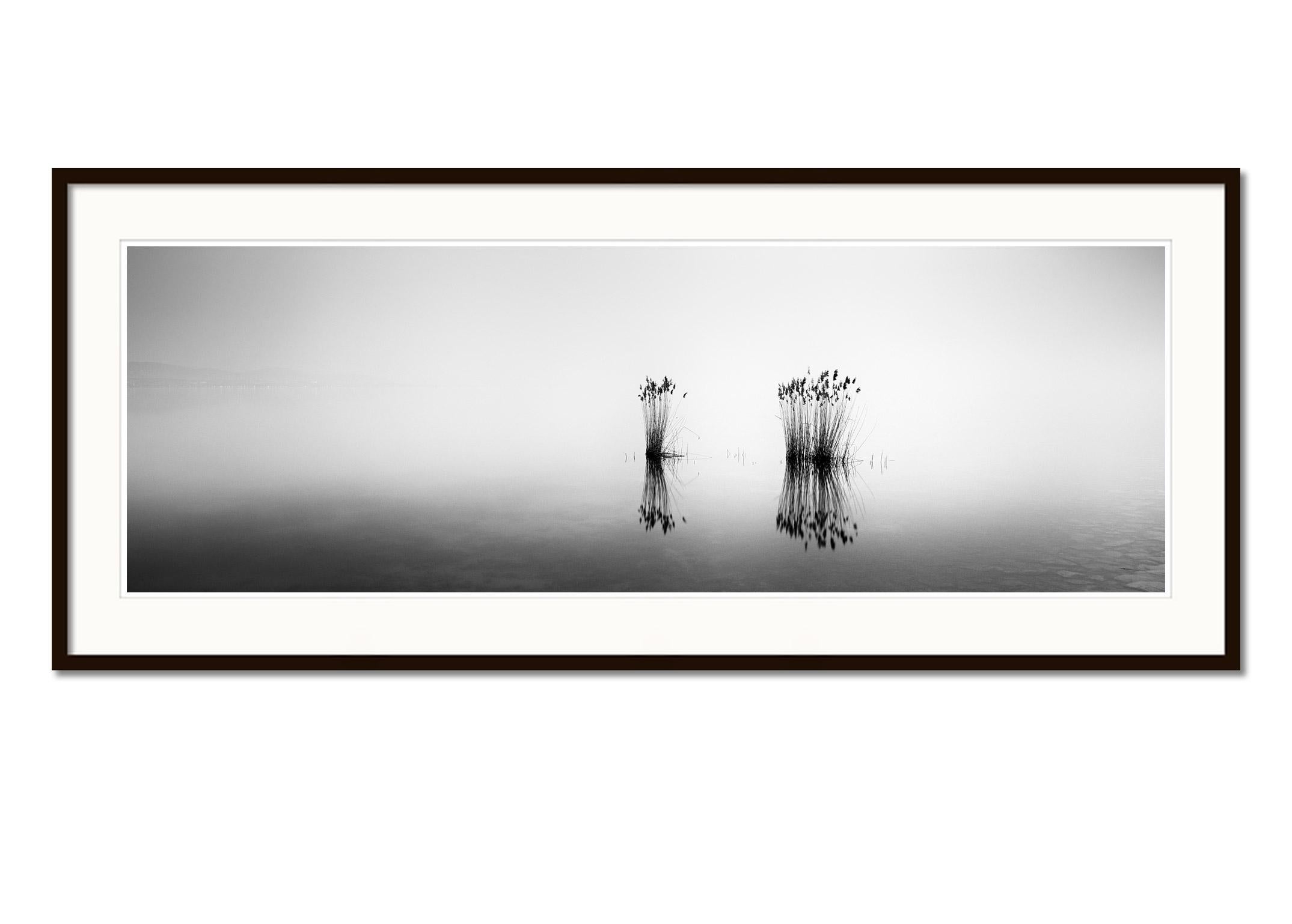 Phragmites Panorama minimalisme noir et blanc longue exposition photographie de paysage aquatique - Gris Landscape Photograph par Gerald Berghammer