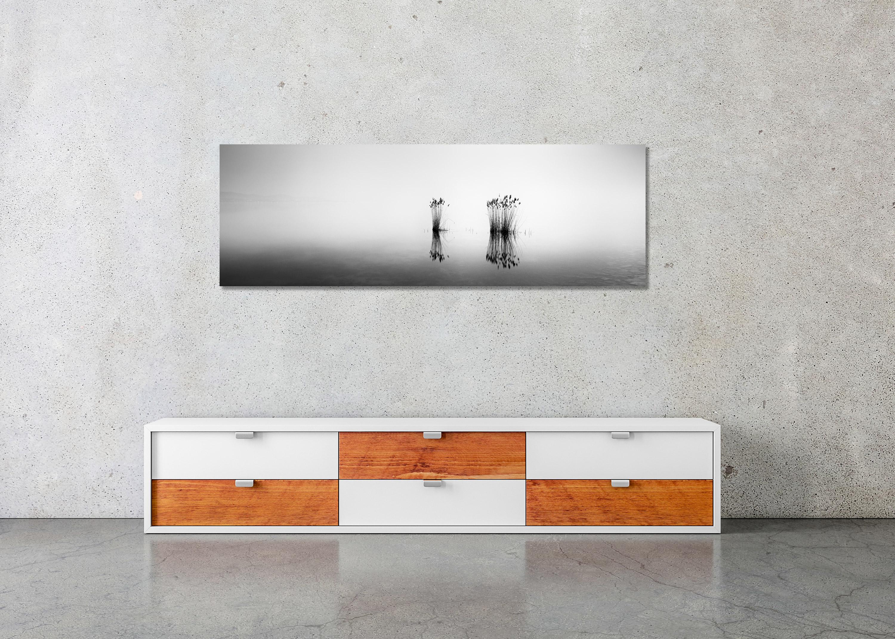 Phragmites Panorama, noir et blanc, longue exposition, paysage aquatique, photographie en vente 2