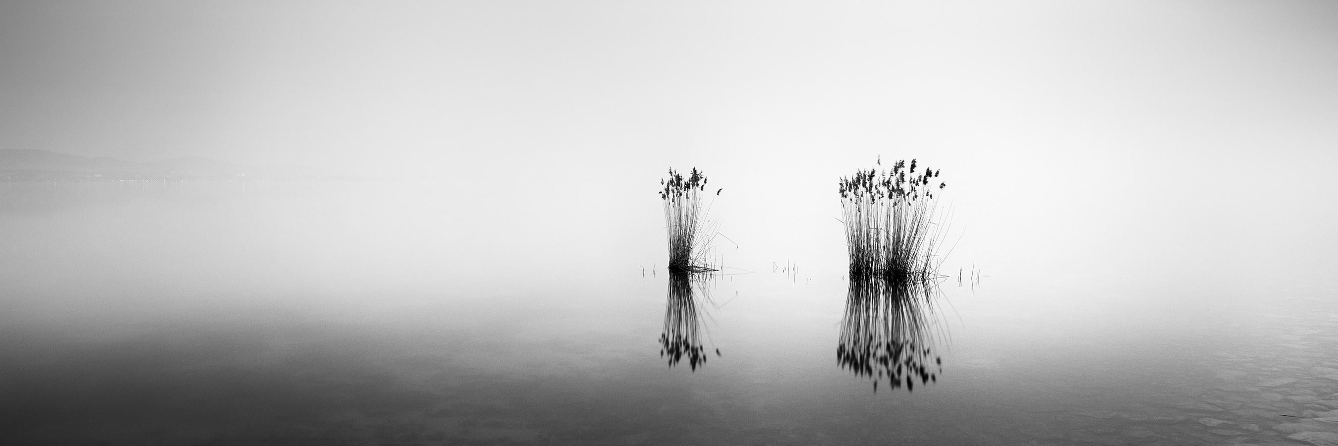 Landscape Photograph Gerald Berghammer - Phragmites Panorama minimalisme noir et blanc longue exposition photographie de paysage aquatique