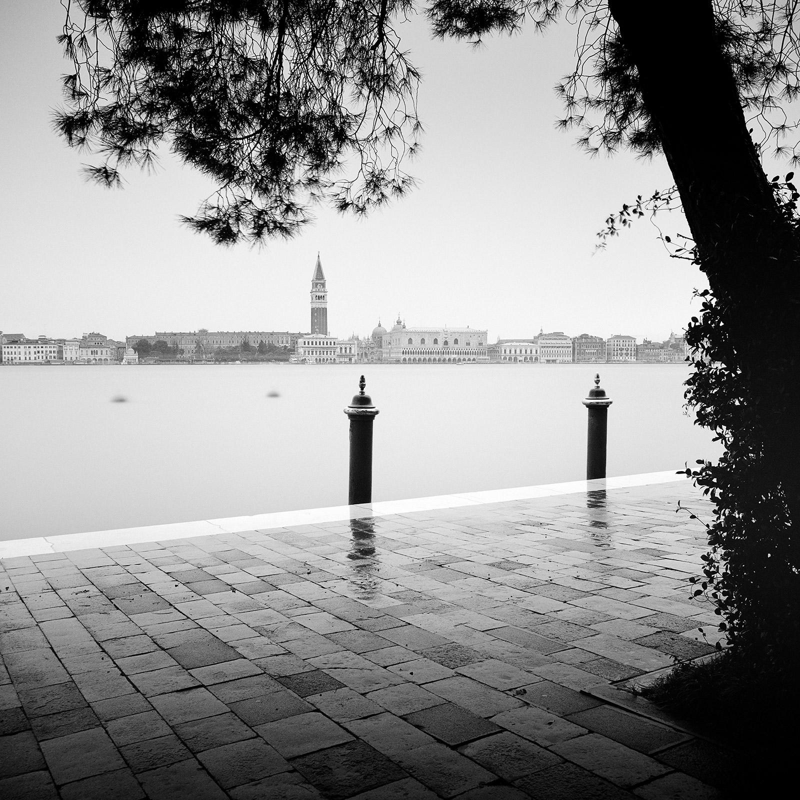 Gerald Berghammer Landscape Photograph - Piazza San Marco, Venice, Canal Grande, black and white photography, landscape