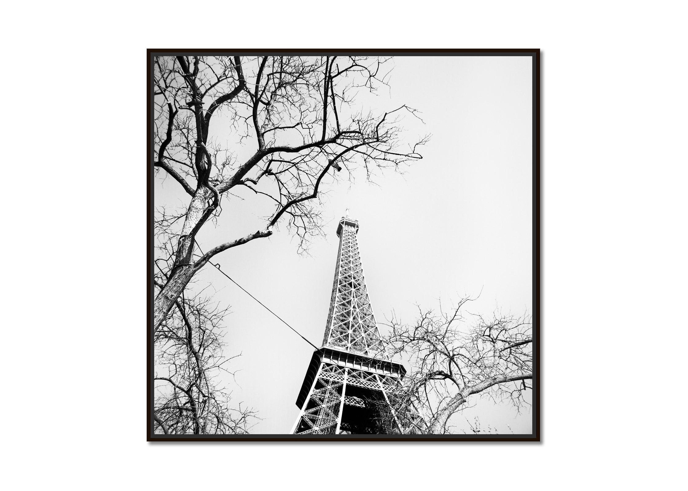 Pigeon and the Eiffel Tower, Paris, black & white cityscape fine art photography - Photograph by Gerald Berghammer