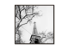 Pigeon und der Eiffelturm, Paris, Schwarz-Weiß-Stadtlandschaftsfotografie
