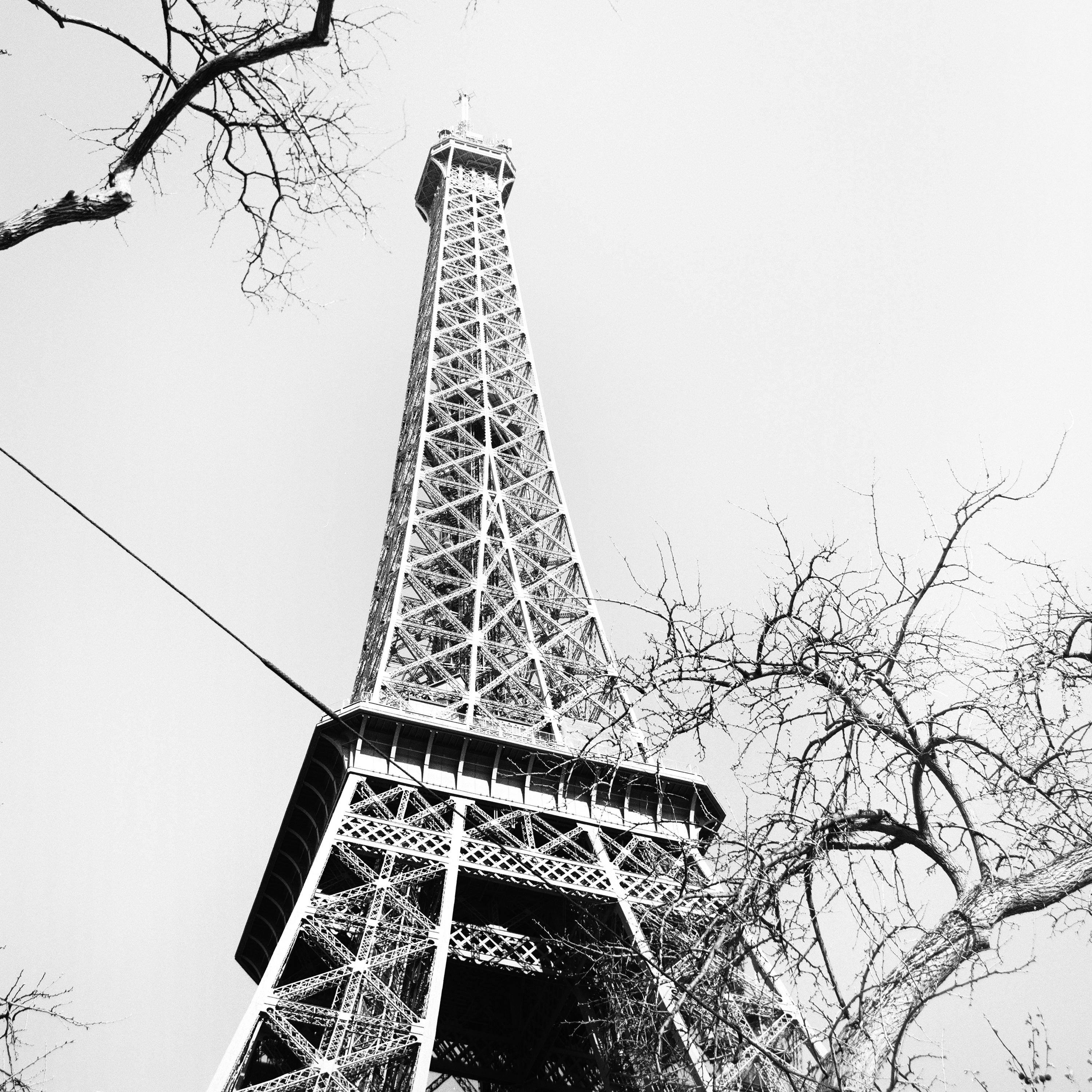 Pigeon and the Eiffel Tower, Paris, black & white cityscape fine art photography For Sale 4