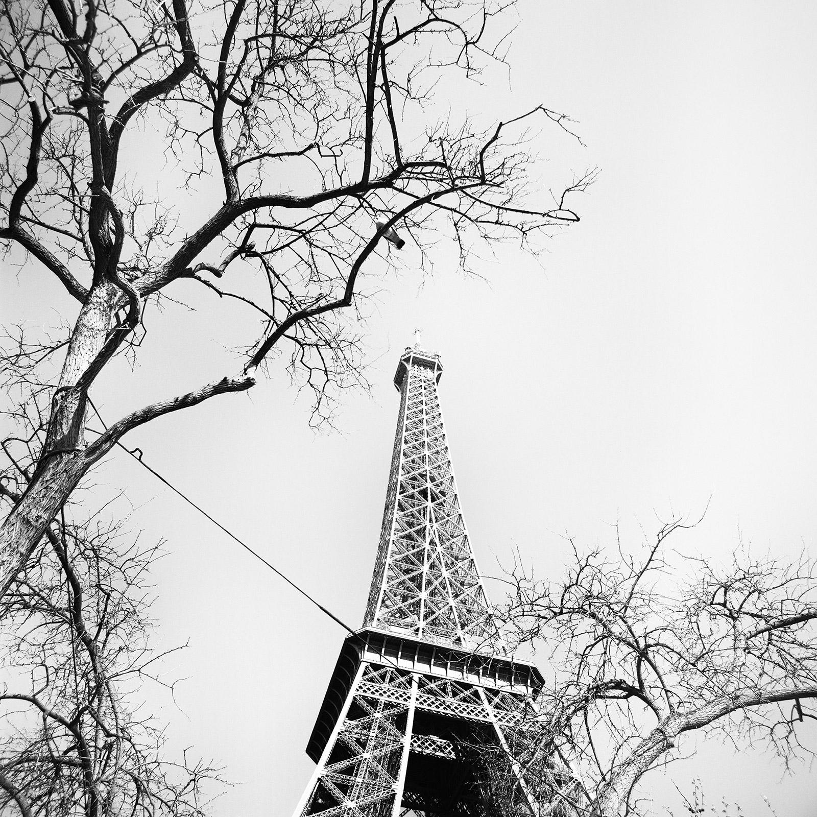 Gerald Berghammer Black and White Photograph - Pigeon and the Eiffel Tower, Paris, black & white cityscape fine art photography