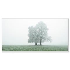 Place to linger Panorama, minimalist winter landscape - color limited photo